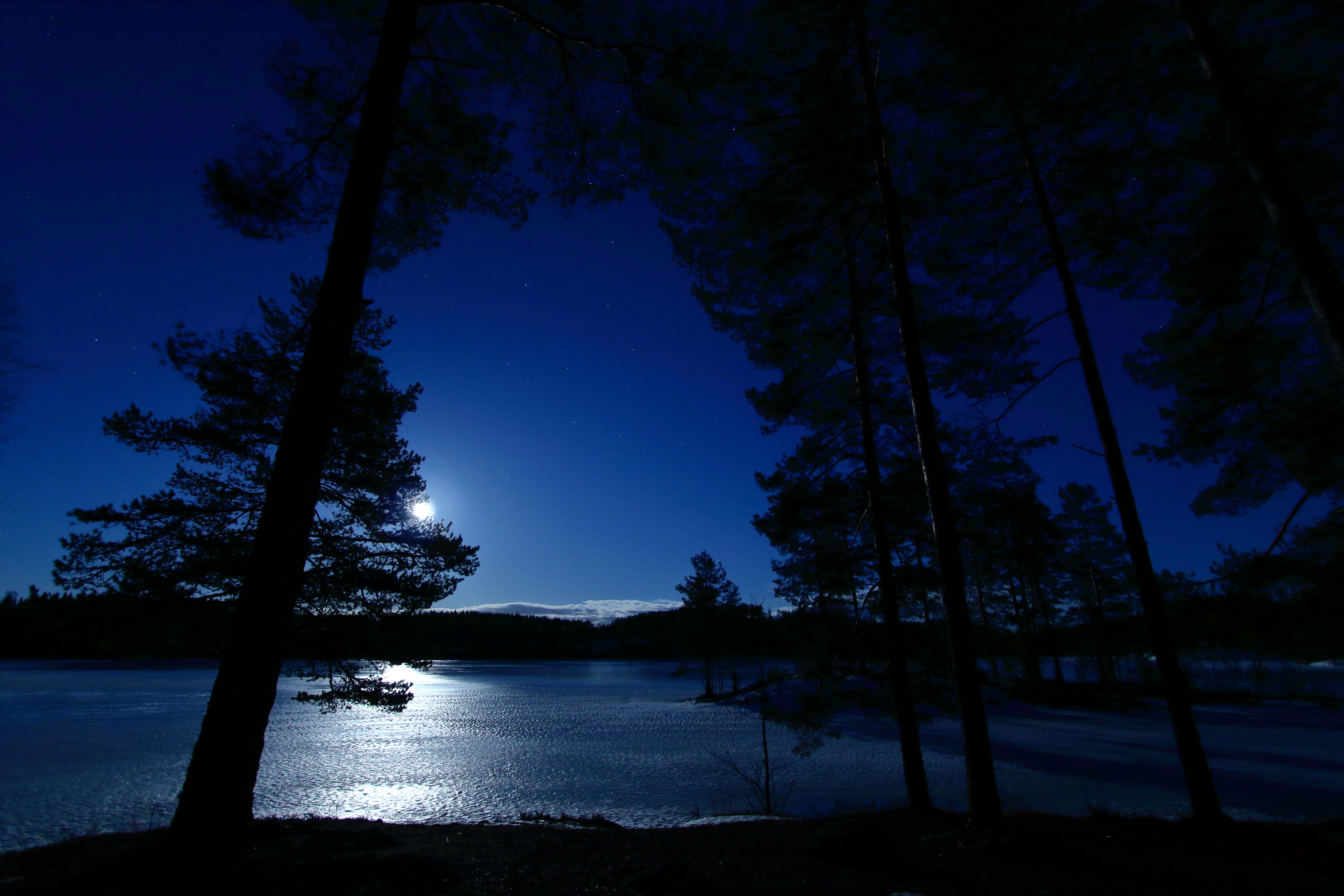 73126 скачать обои небо, норвегия, ночь, природа, деревья, озеро, даль - заставки и картинки бесплатно