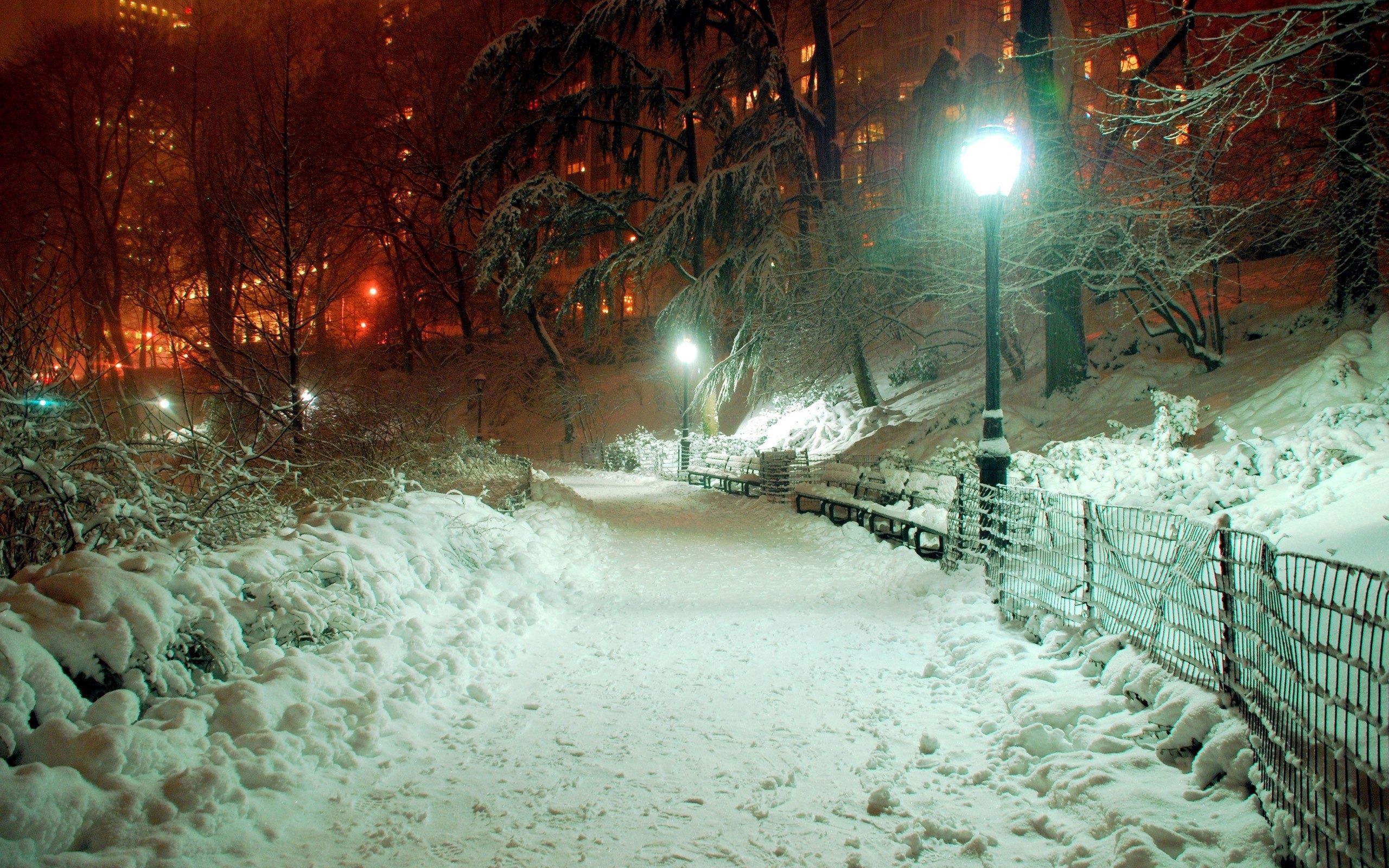 winter, lamp, lantern, nature, shine, light, park, drifts, january QHD