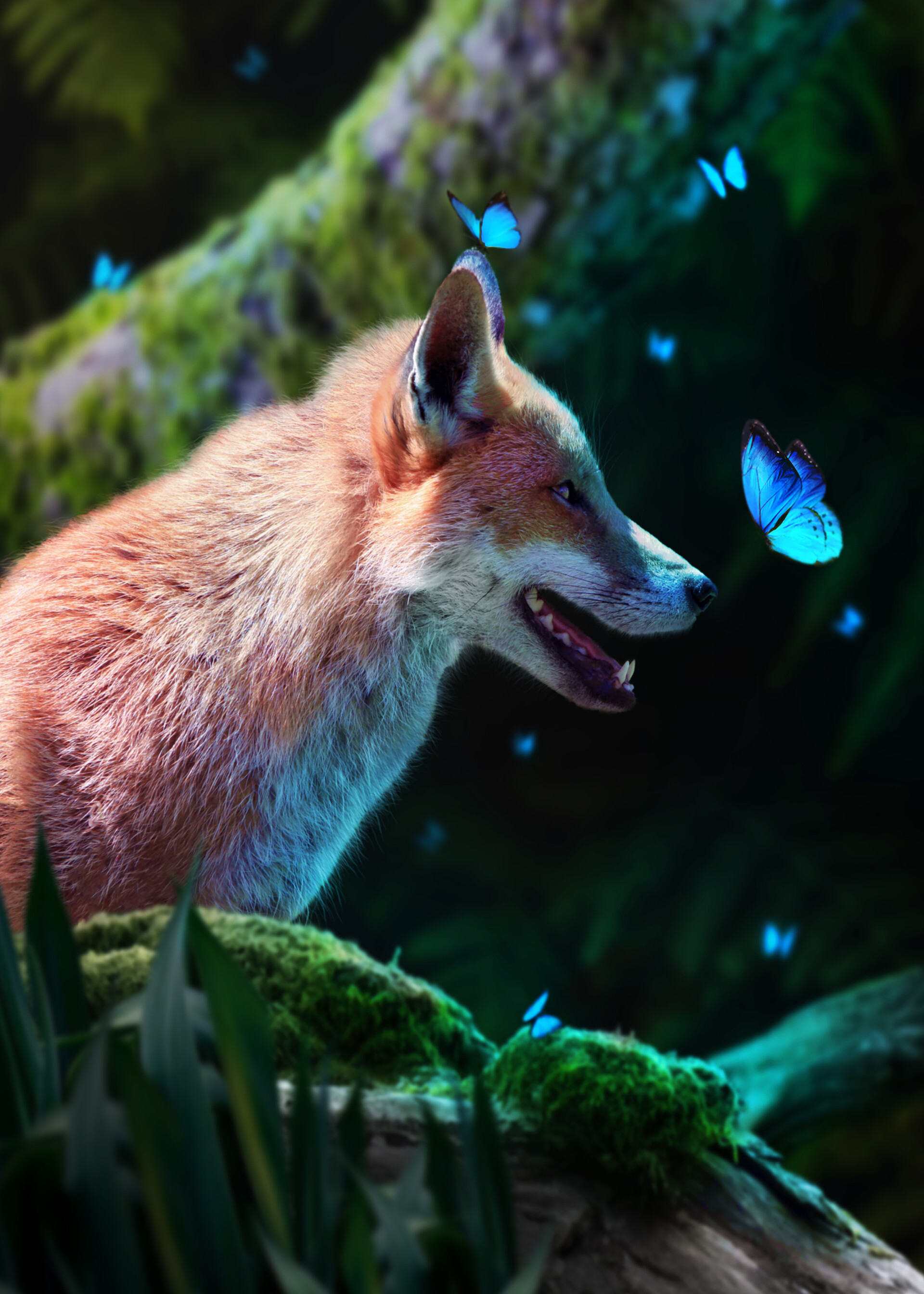 fox, animal, wildlife, butterflies 3d Wallpaper