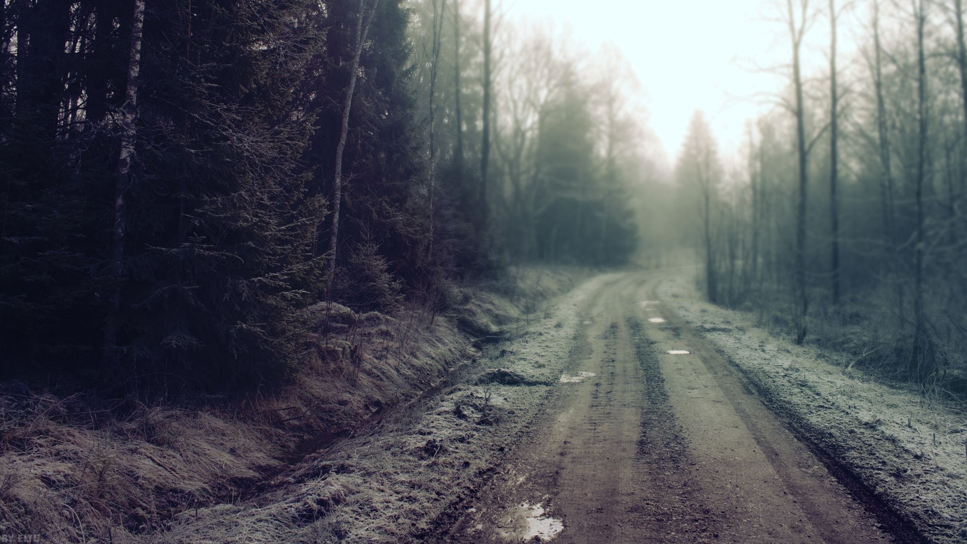 android gloomy, nature, road, forest, country, secret, mystery, puddles, countryside