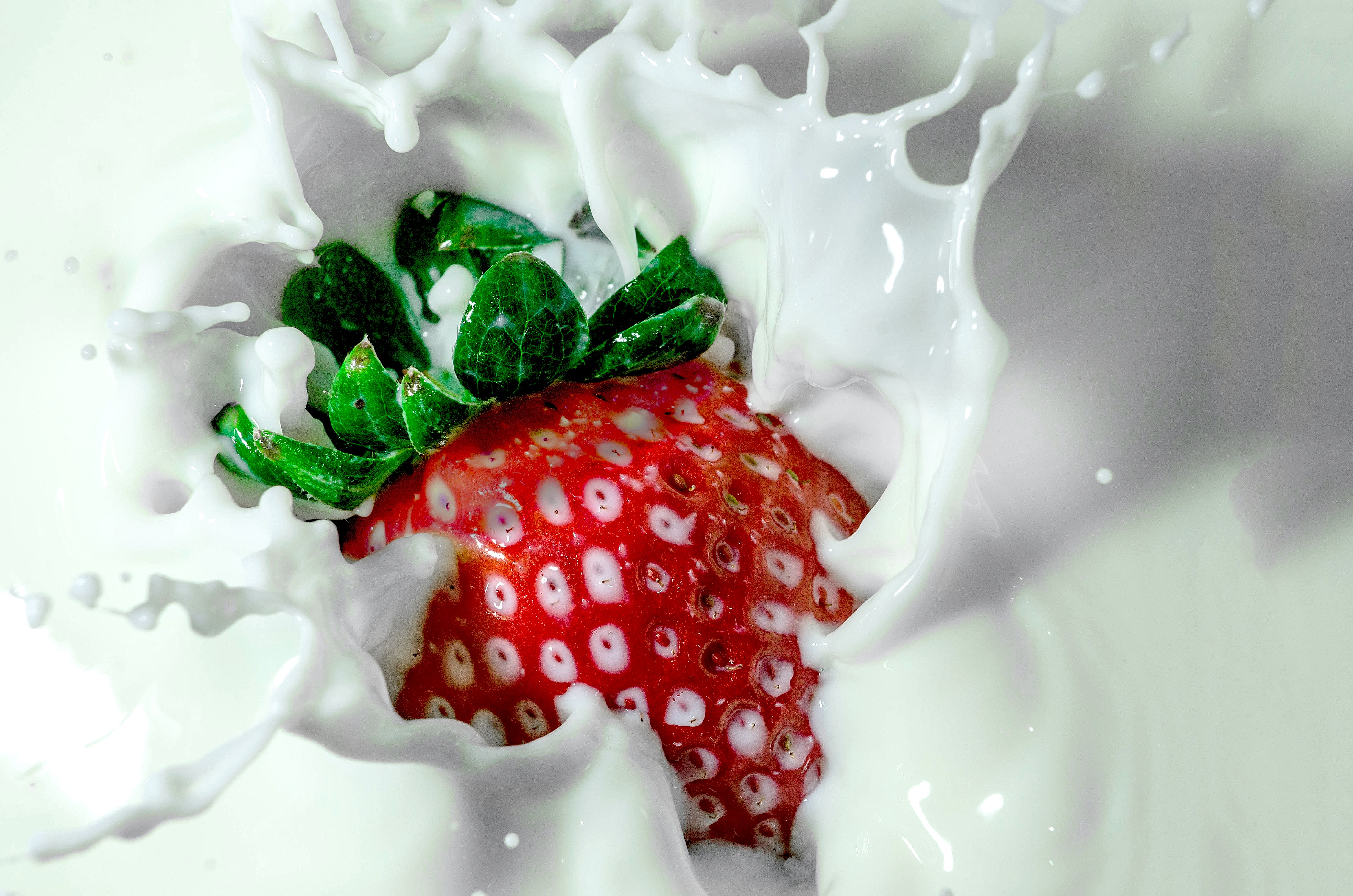 QHD wallpaper food, milk, strawberry
