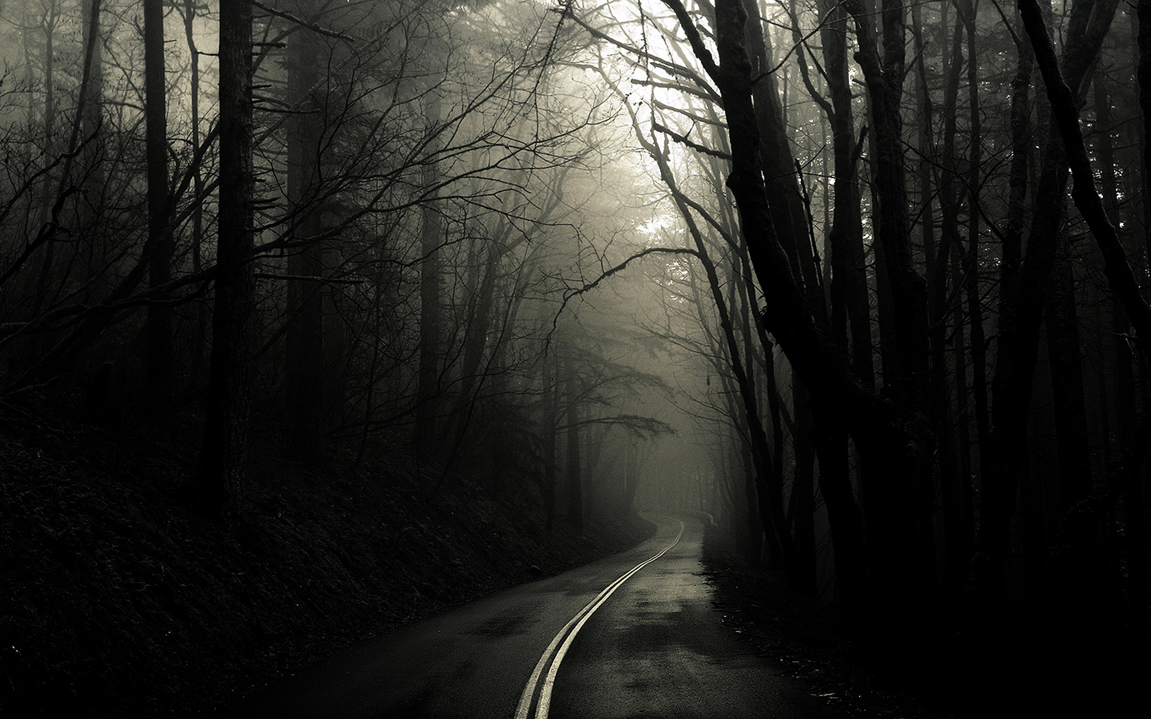 1519292 free wallpaper 720x1280 for phone, download images fog, road, man made 720x1280 for mobile