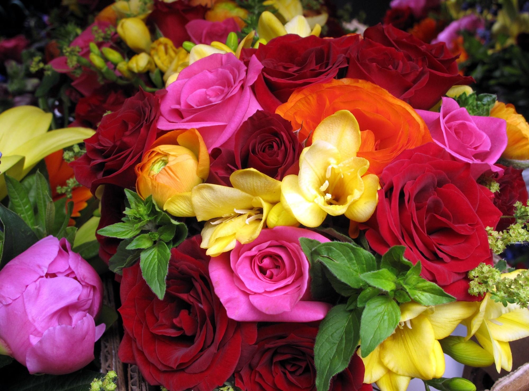 roses, flowers, close-up, bouquet, ranunculus, ranunkulus, freesia