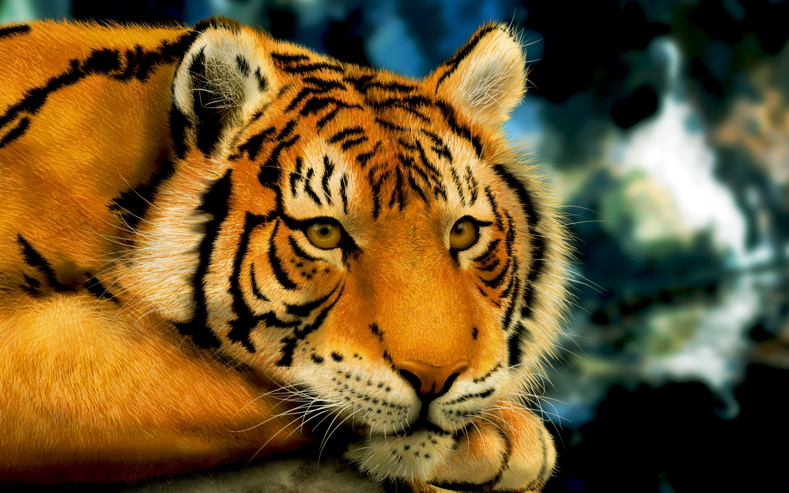 45717 Salvapantallas y fondos de pantalla Tigres en tu teléfono. Descarga imágenes de animales gratis