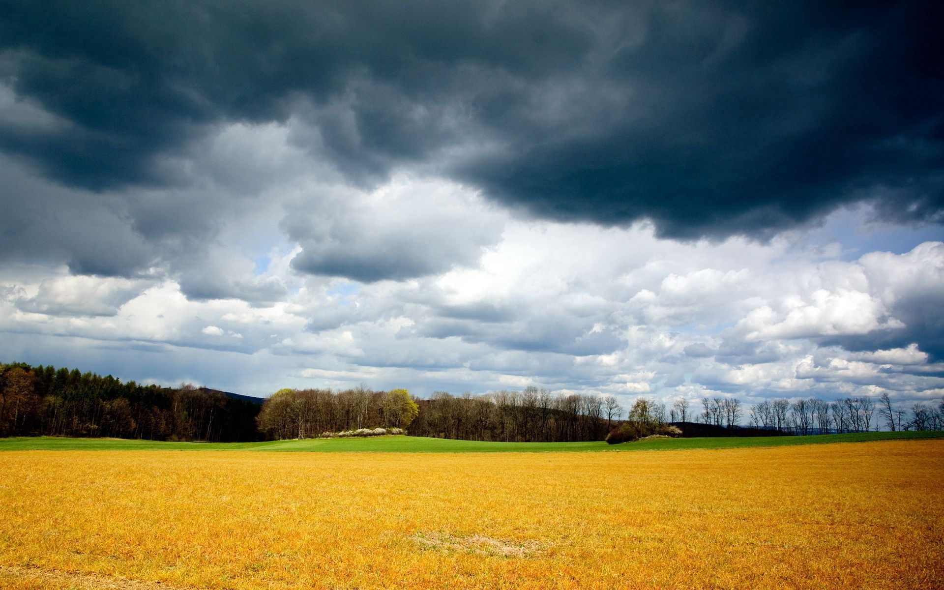 102306 Hintergrundbild herunterladen natur, grass, sky, clouds, sommer, grau, gelb, feld, düster, sturm, düsteren, wolken, august, stürmisch, abgeschrägt, abgeschrägten - Bildschirmschoner und Bilder kostenlos