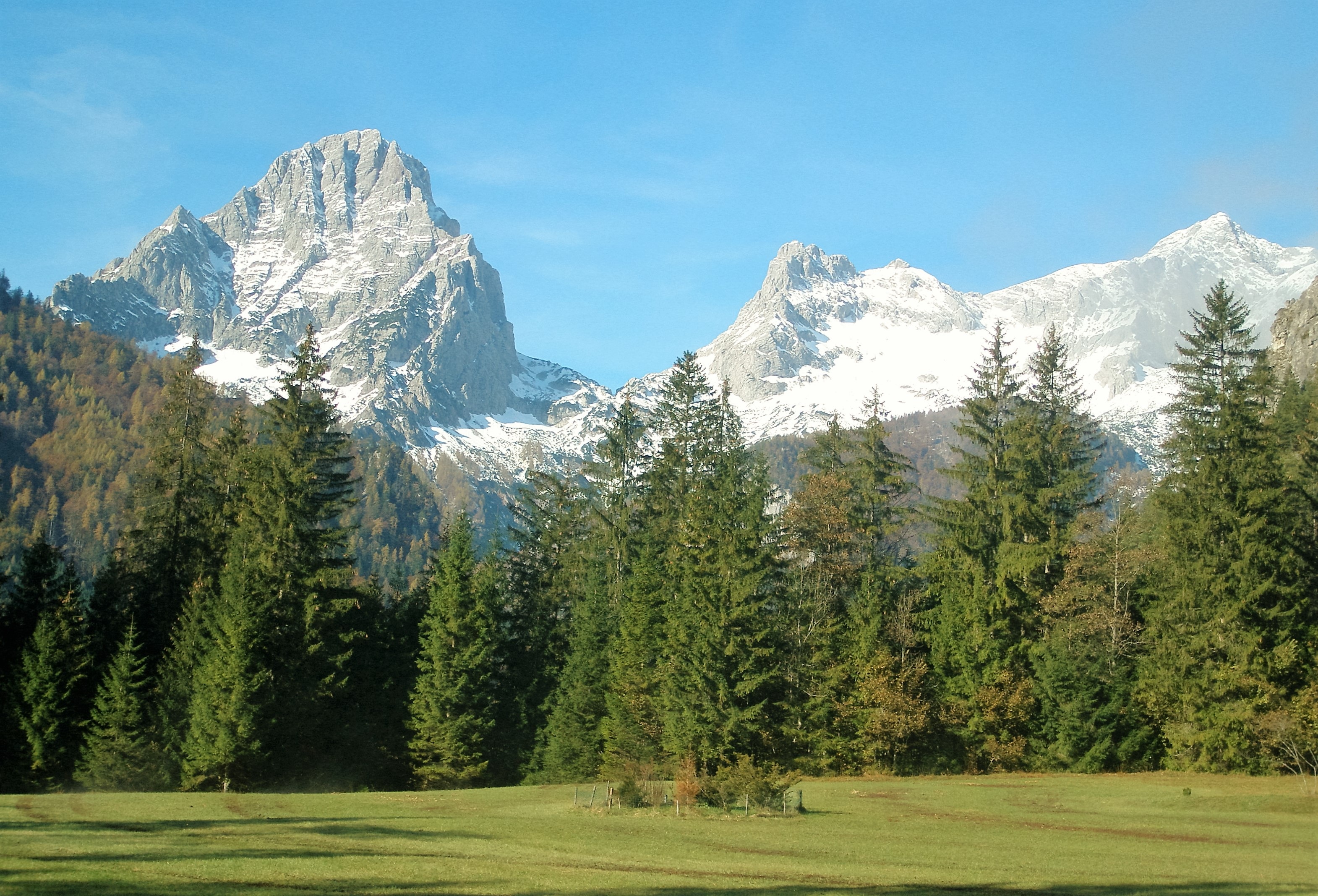 101318 Bildschirmschoner und Hintergrundbilder Alpen auf Ihrem Telefon. Laden Sie natur, bäume, grass, mountains, alpen Bilder kostenlos herunter