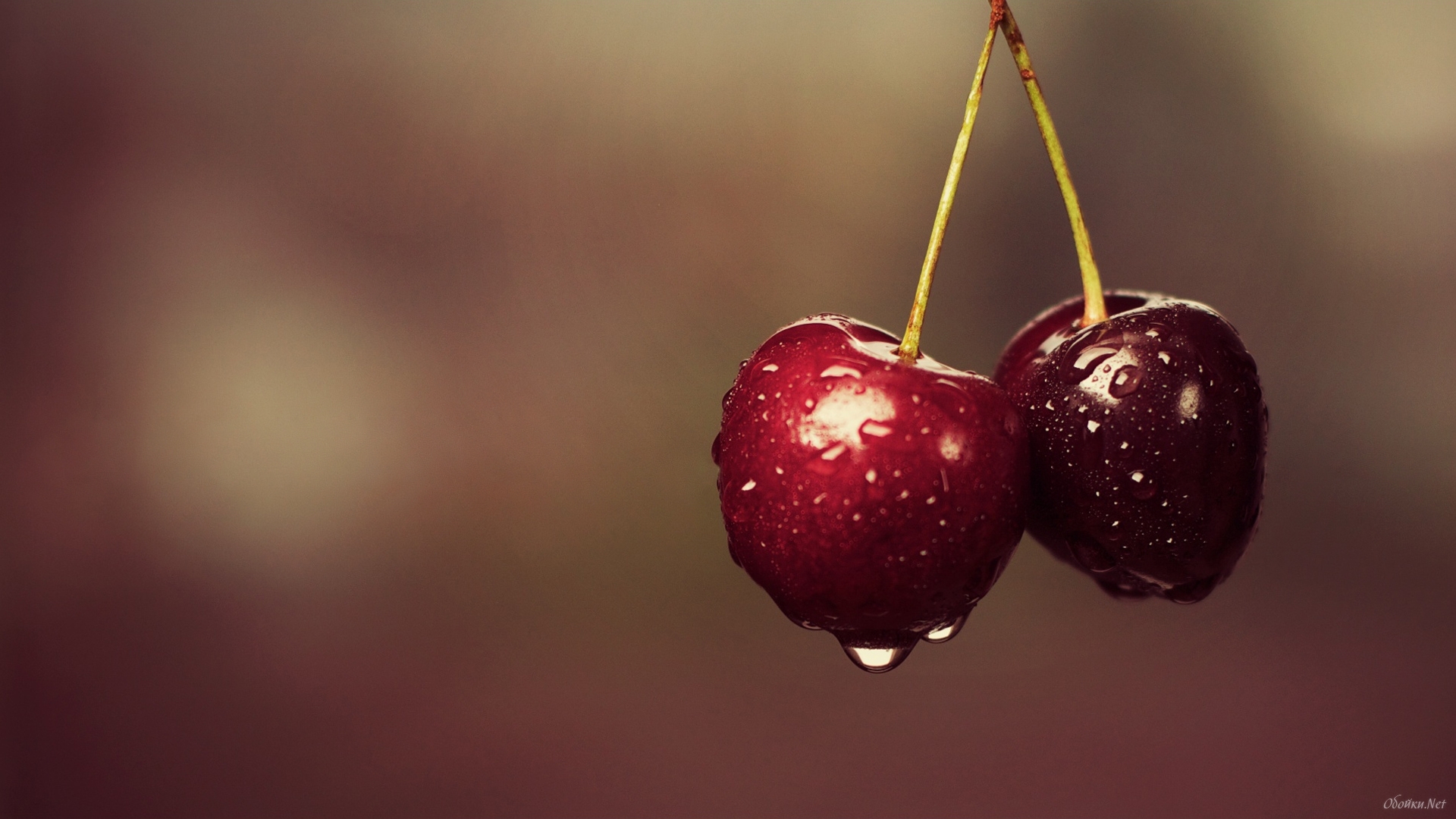 Mobile wallpaper: Food, Cherry, Fruits, 17149 download the picture for free.