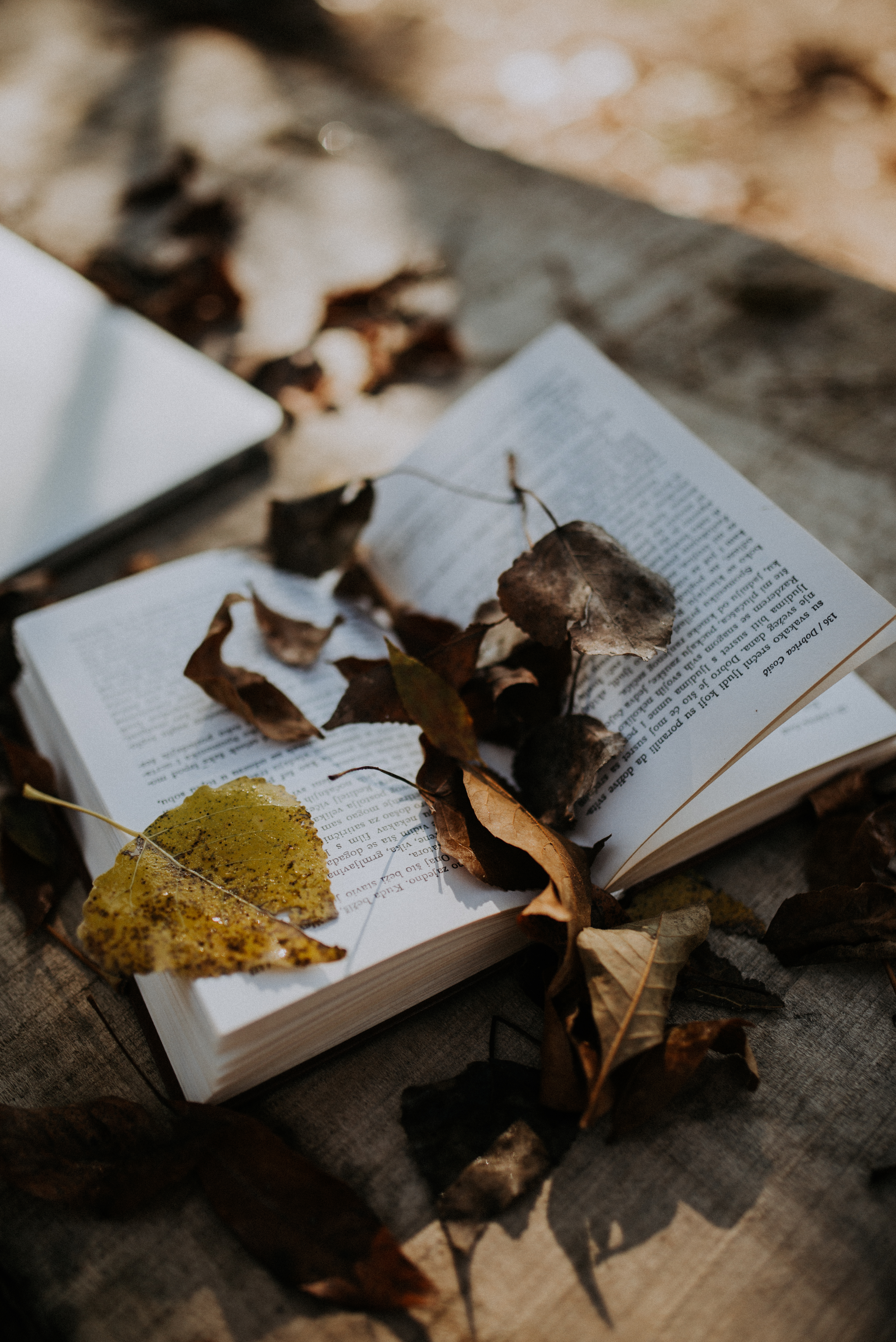 book, miscellanea, autumn, leaves, miscellaneous wallpapers for tablet