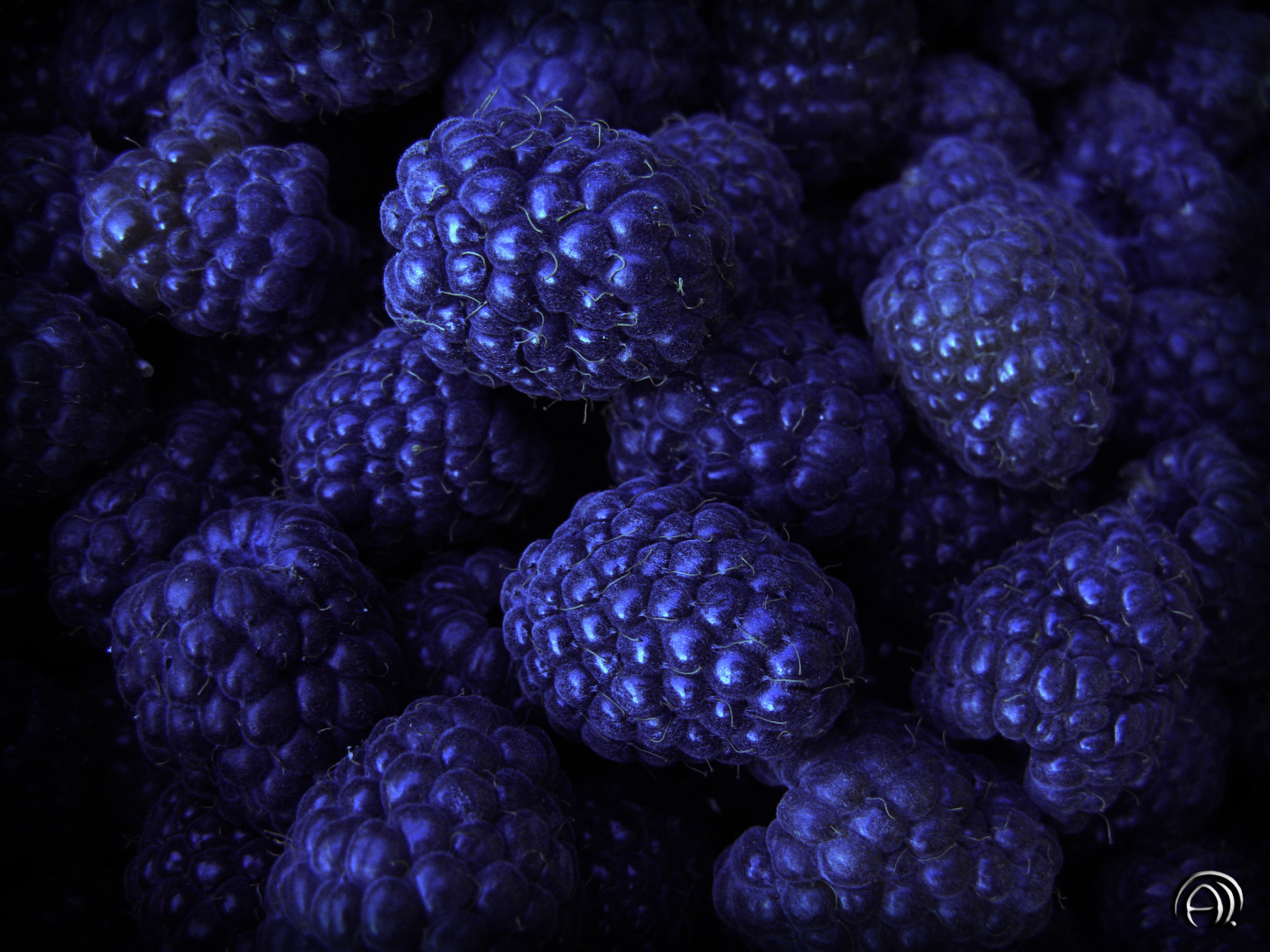 Berries bilberries, background, blue, food Lock Screen