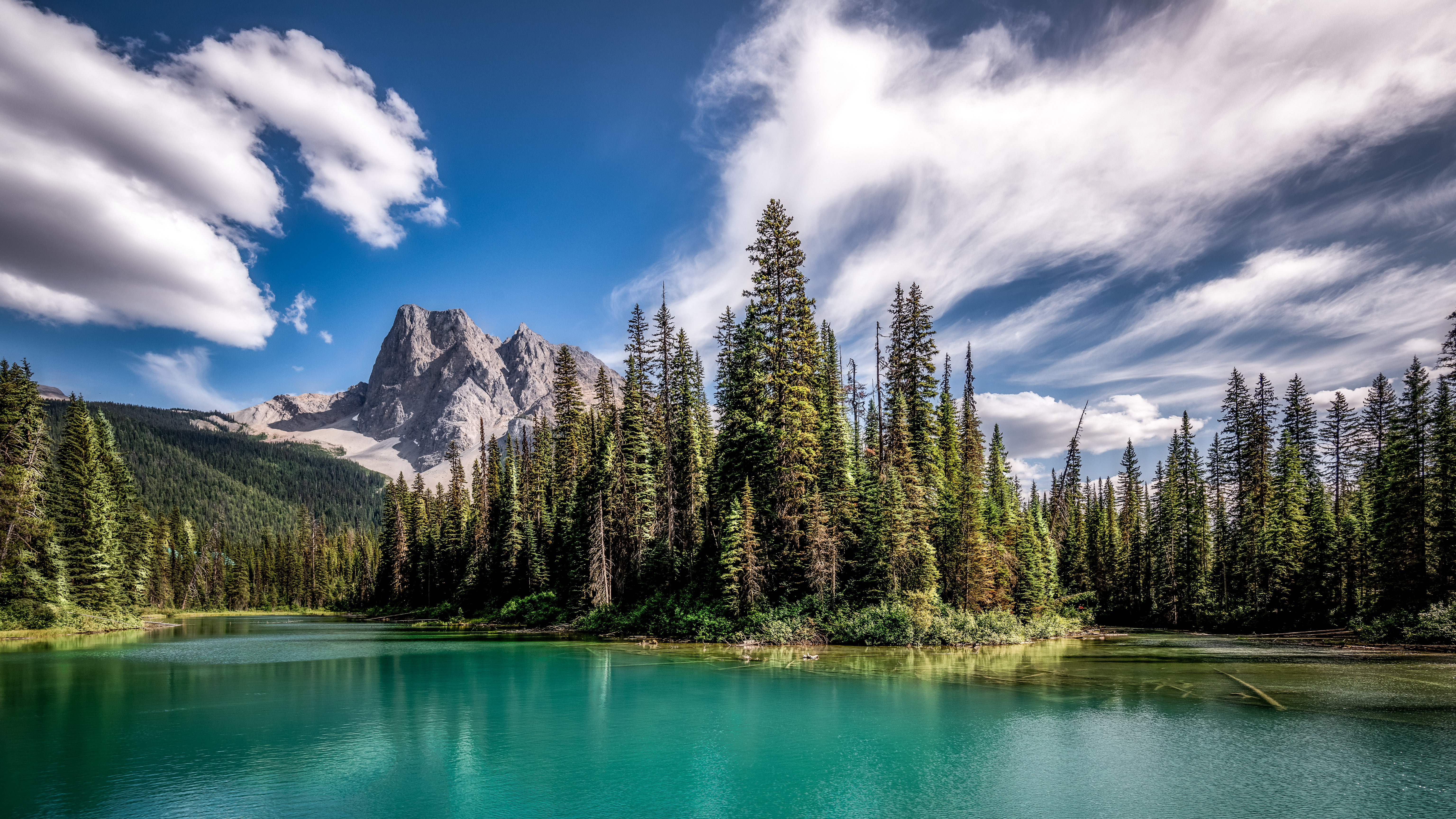 High Definition wallpaper lake, mountains, fir, nature