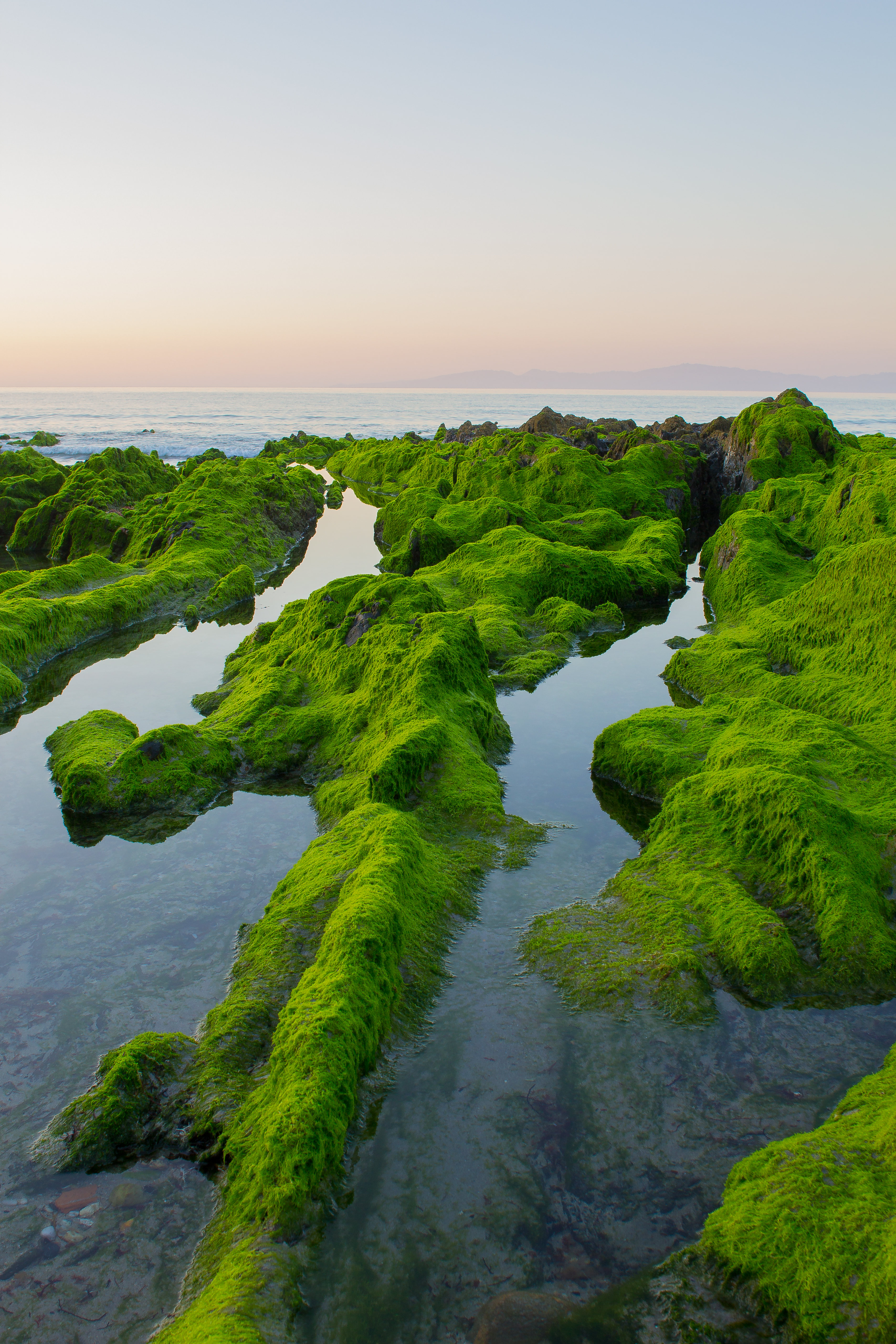 Moss sea, rocks, nature, horizon Free Stock Photos