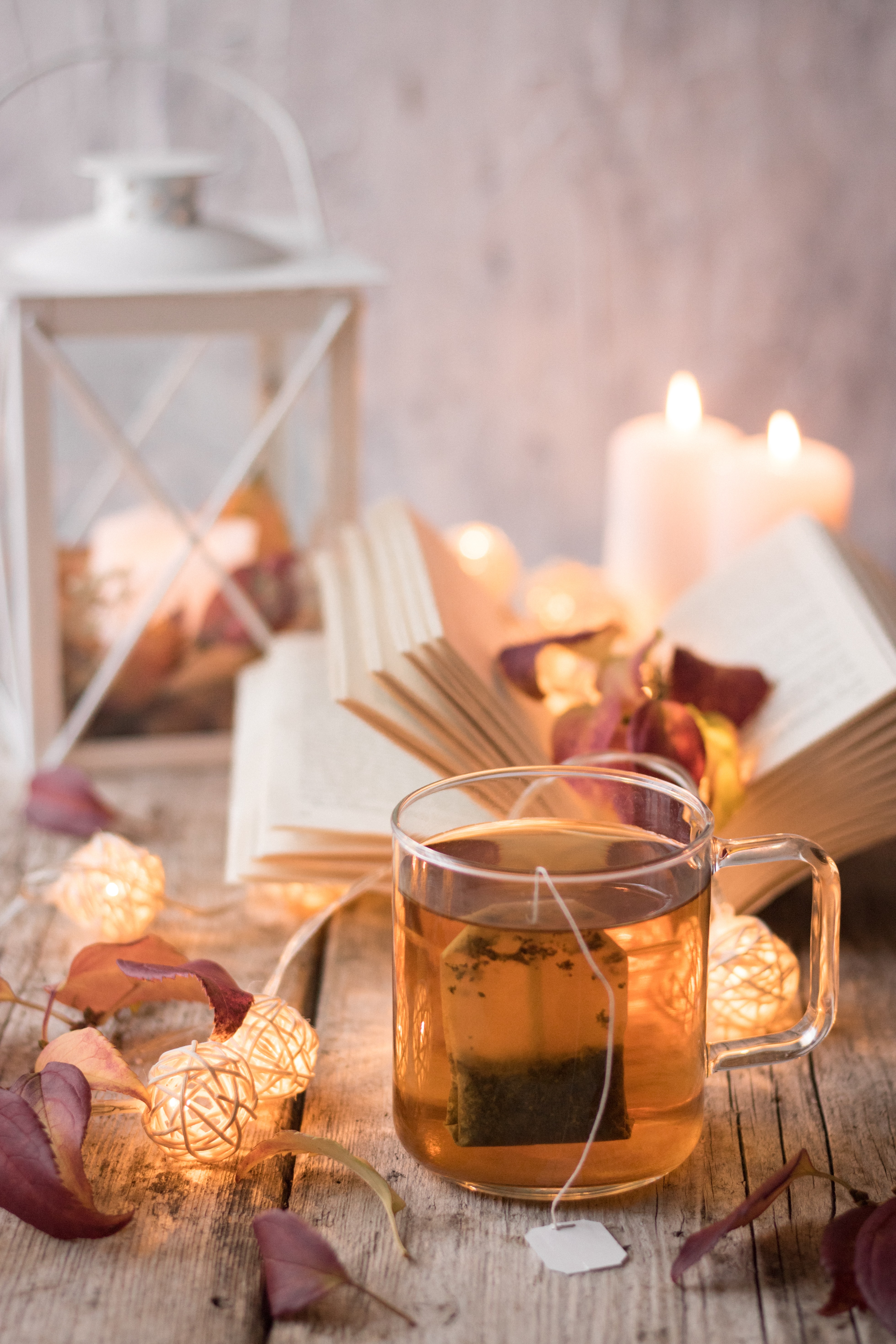 cup, leaves, miscellanea, miscellaneous, garland, book, tea, coziness, comfort, garlands for android