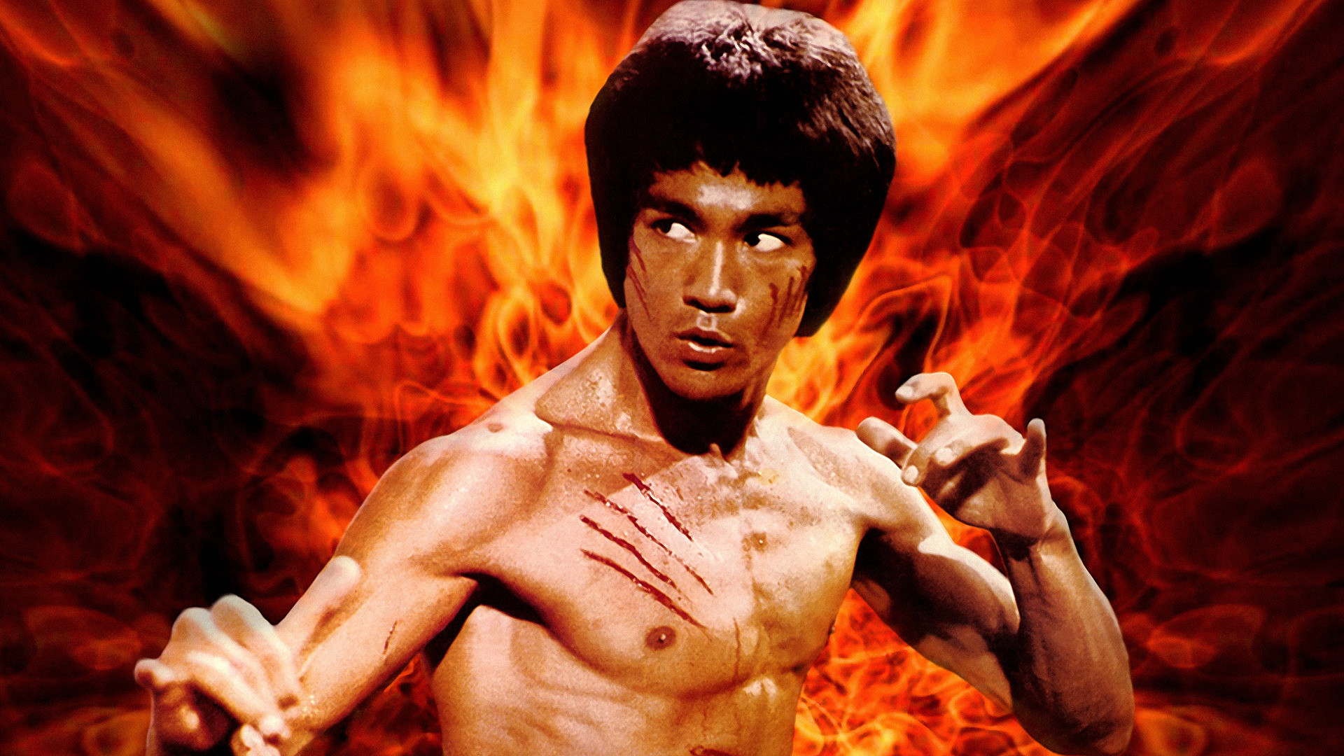 Bruce Lee wallpapers for desktop, download free Bruce Lee pictures and  backgrounds for PC 