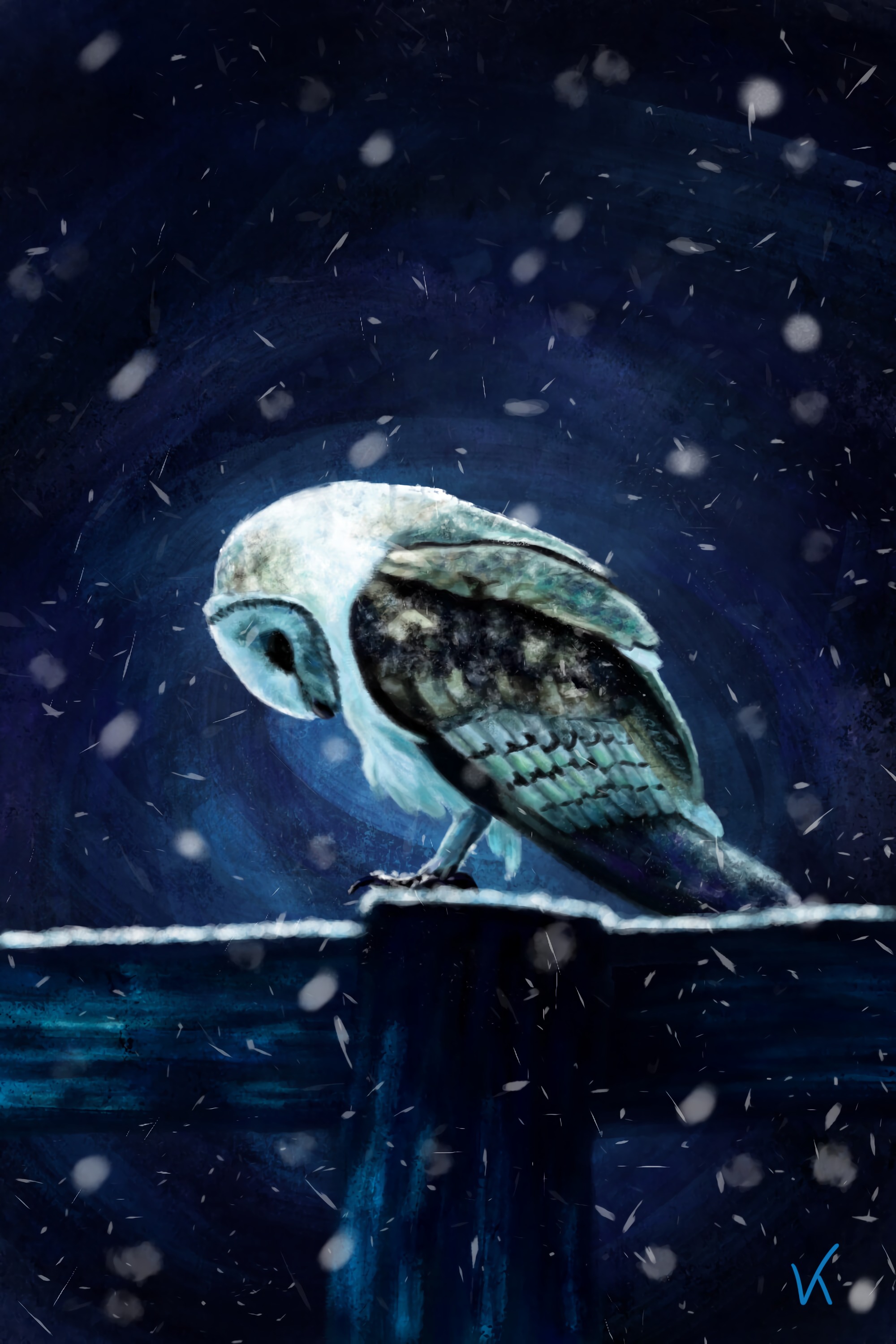 snow, art, bird Owl HQ Background Images