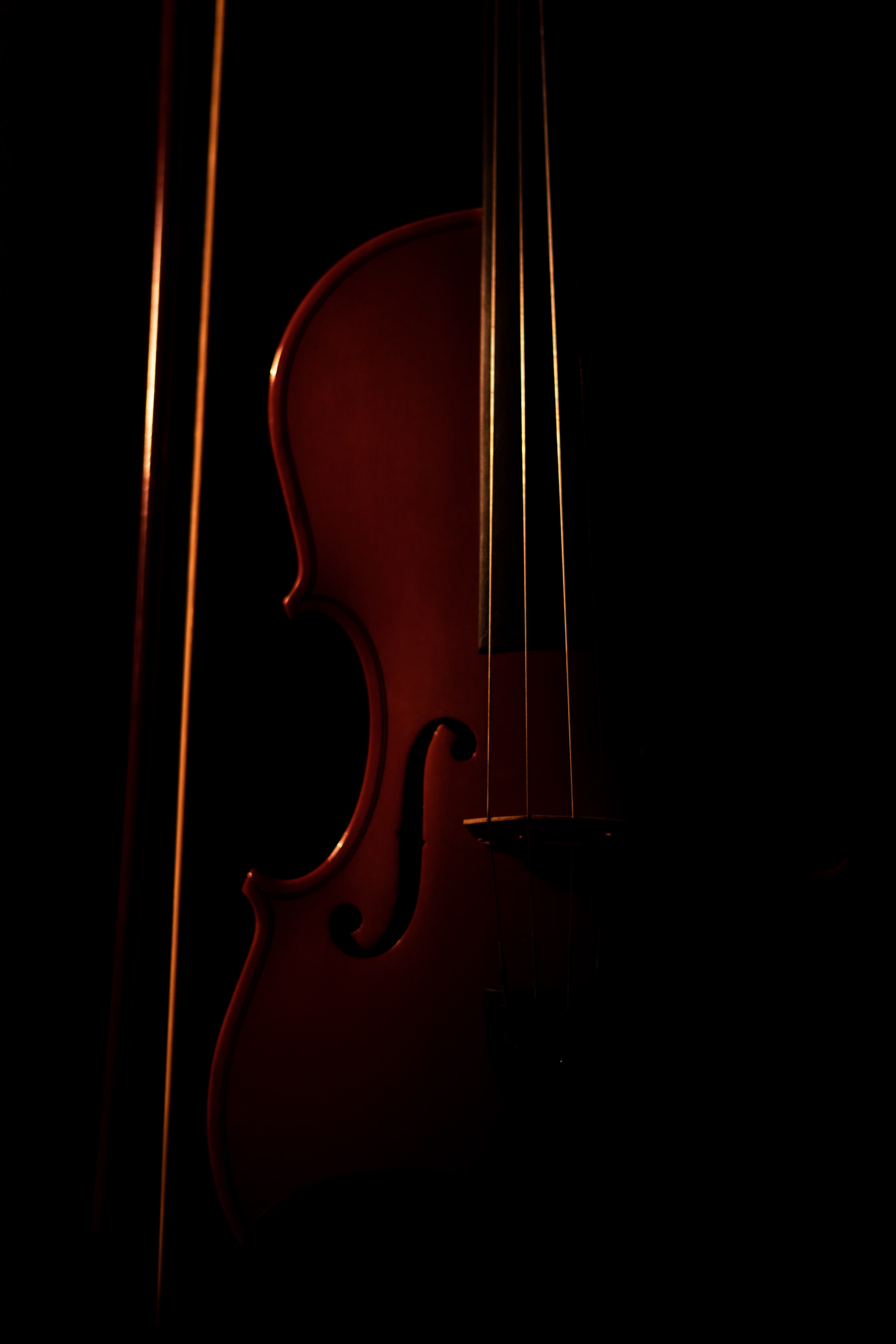 Die besten Violine-Hintergründe für den Telefonbildschirm
