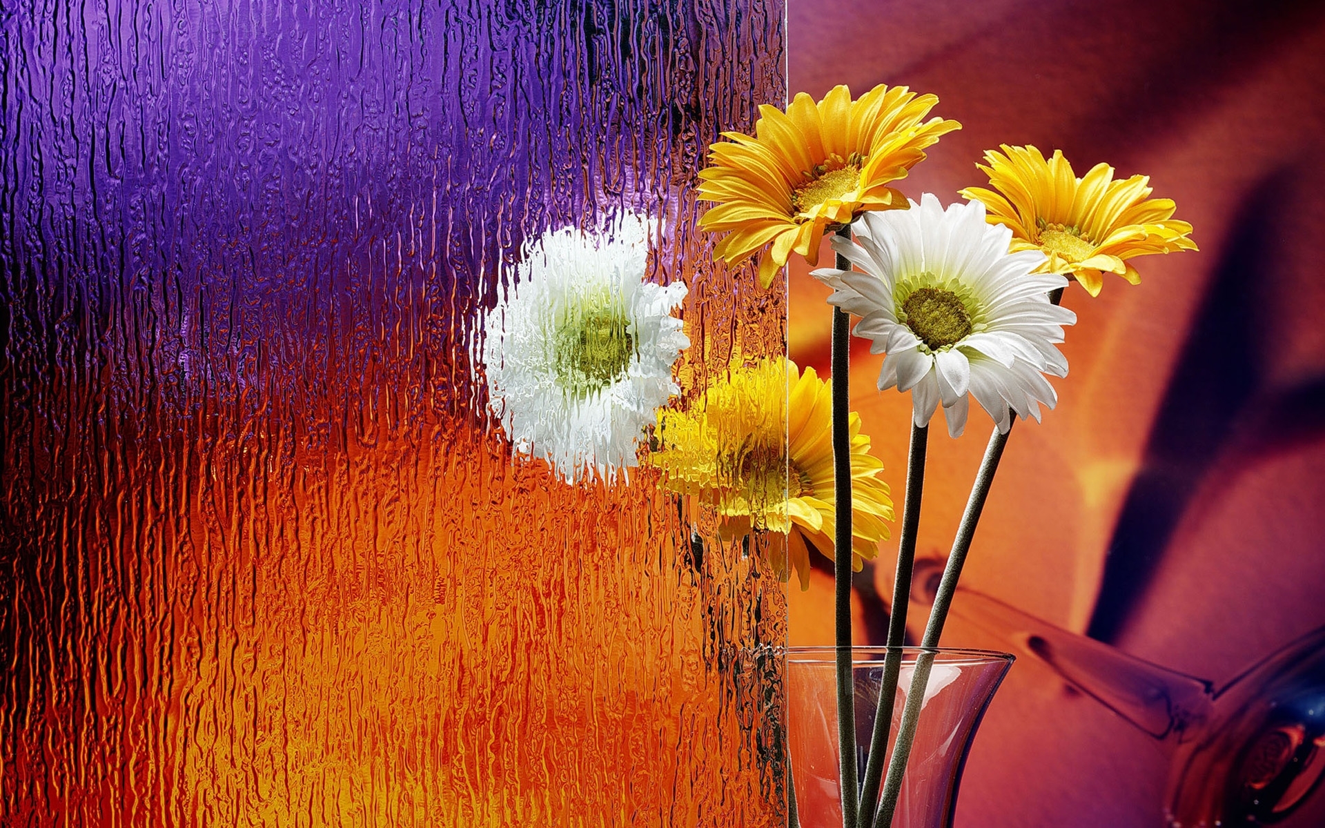 43439 baixar papel de parede objetos, plantas, flores - protetores de tela e imagens gratuitamente