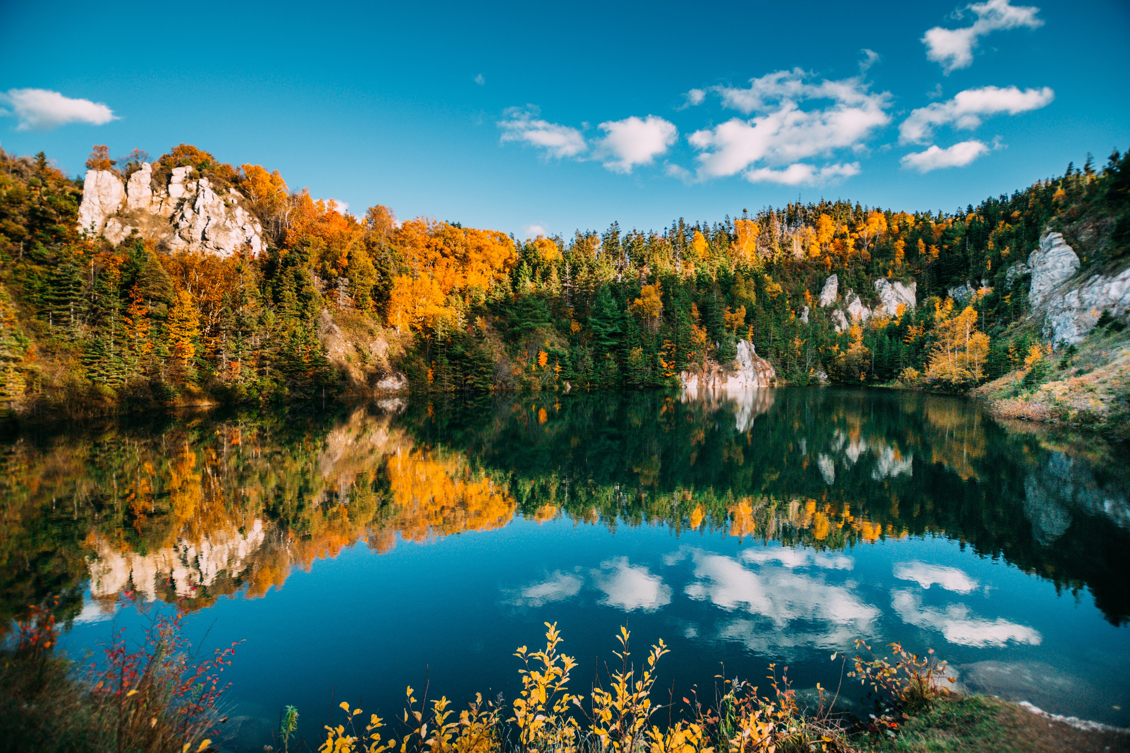 87054 скачать обои осень, природа, вода, деревья, озеро, отражение - заставки и картинки бесплатно
