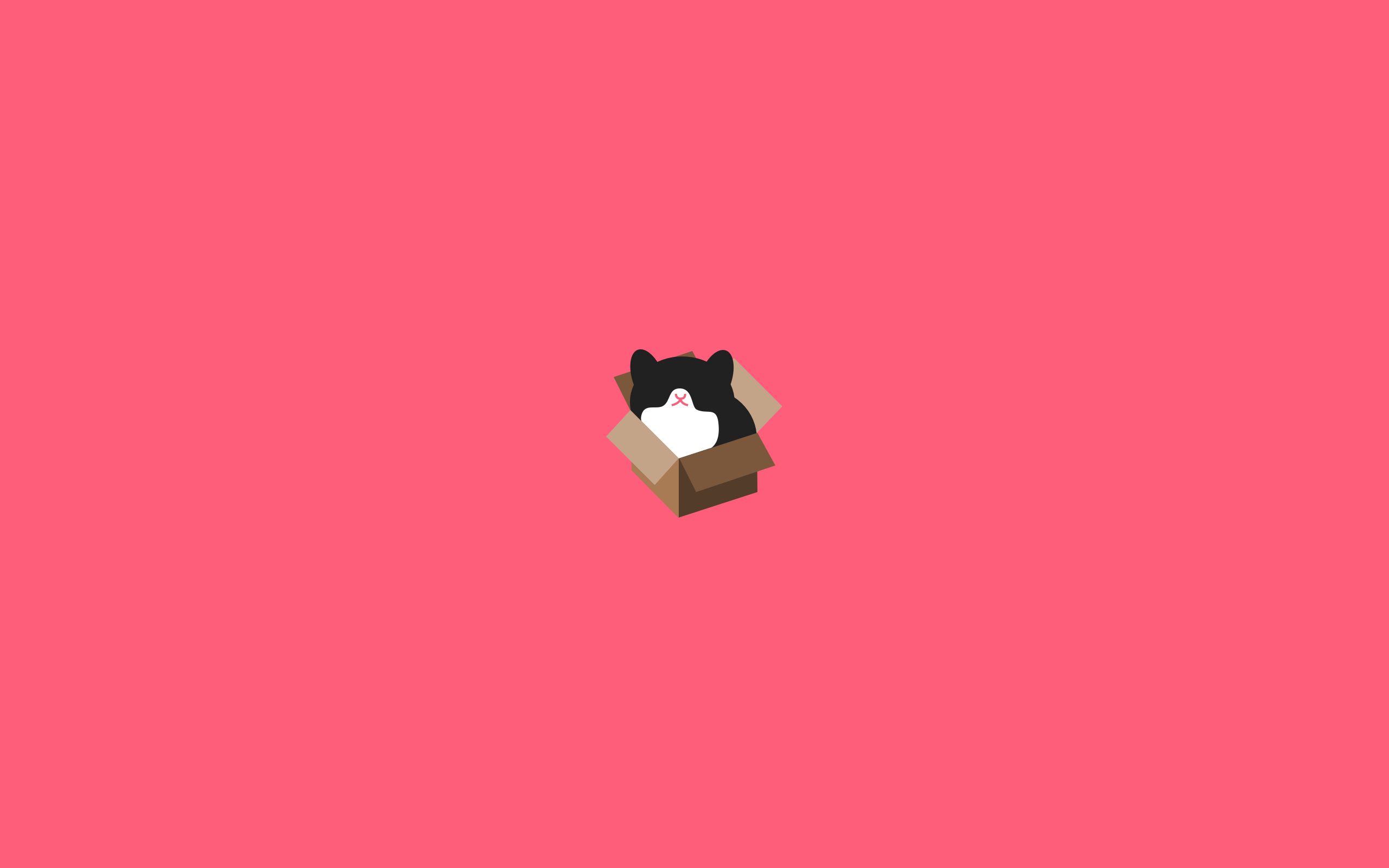 minimalism, drawing, cat, box 4K iPhone