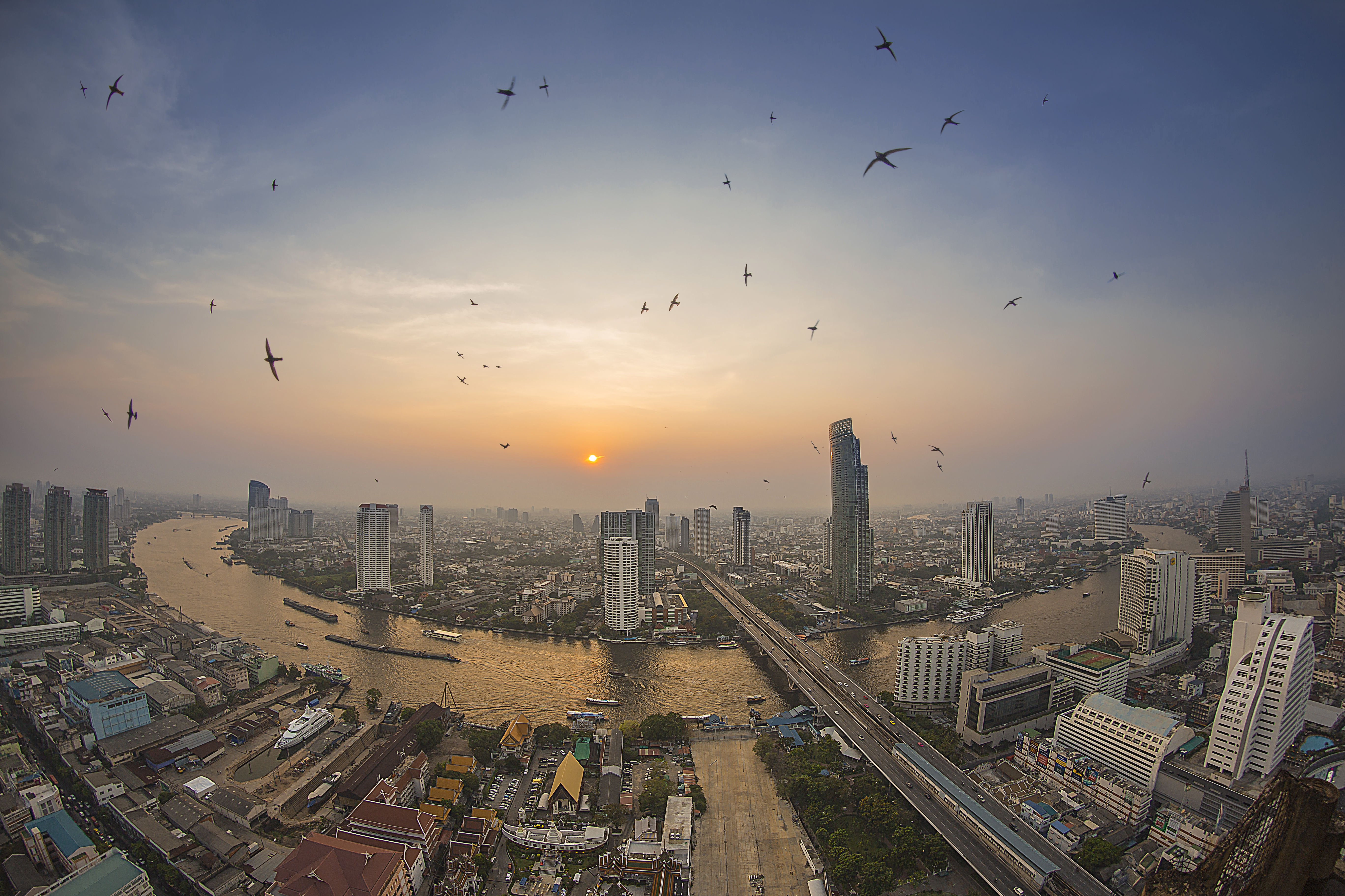 man made, bangkok, bird, flying, megapolis, river, sky, sun, sunset, swallow, thailand, cities