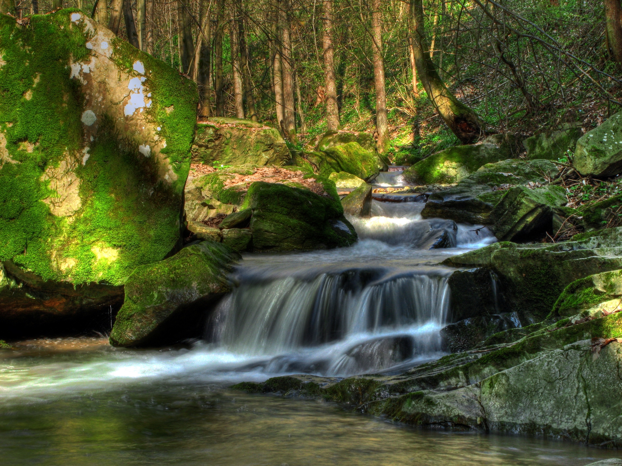 austria, nature, trees, waterfall, vegetation, flow, klein pöchlarn, klein pehlarn, stream Full HD