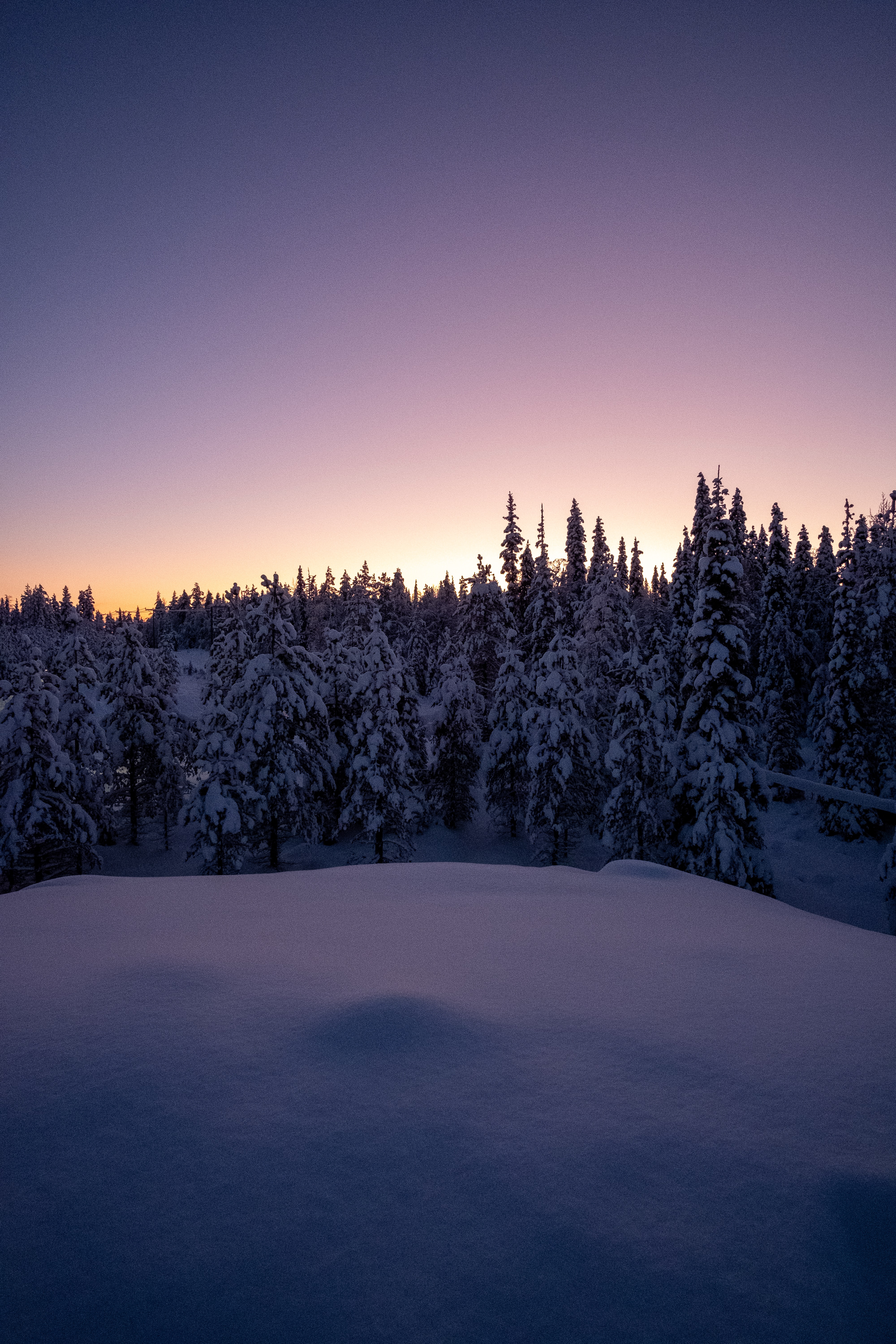 手機的57927屏保和壁紙森林。 免費下載 雪, 性质, 黄昏, 冬天 圖片