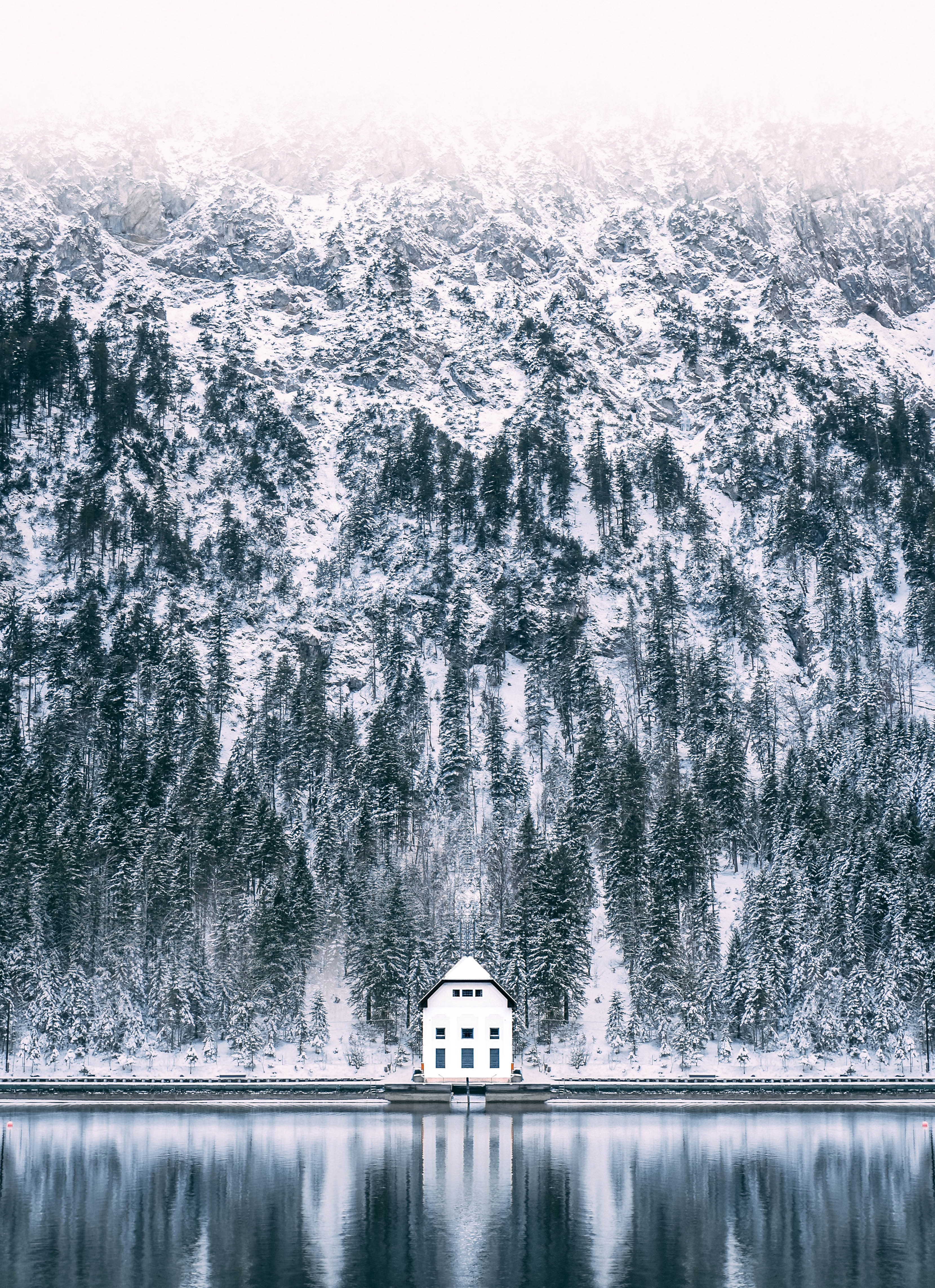 lake, nature, forest, house home screen for smartphone