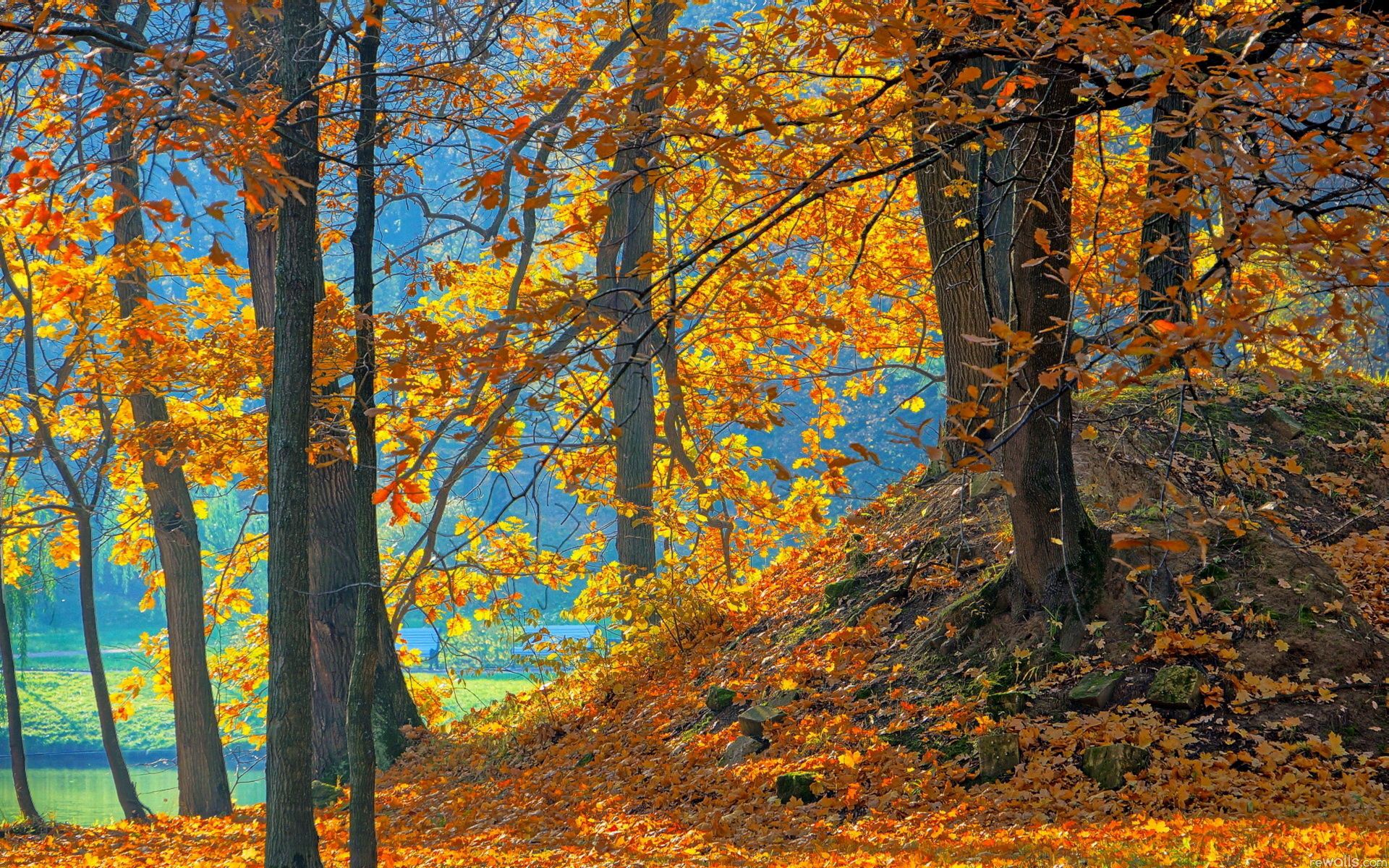 121421 Hintergrundbild herunterladen hintergrund, natur, bäume, herbst, blätter, blau, orange, wald - Bildschirmschoner und Bilder kostenlos