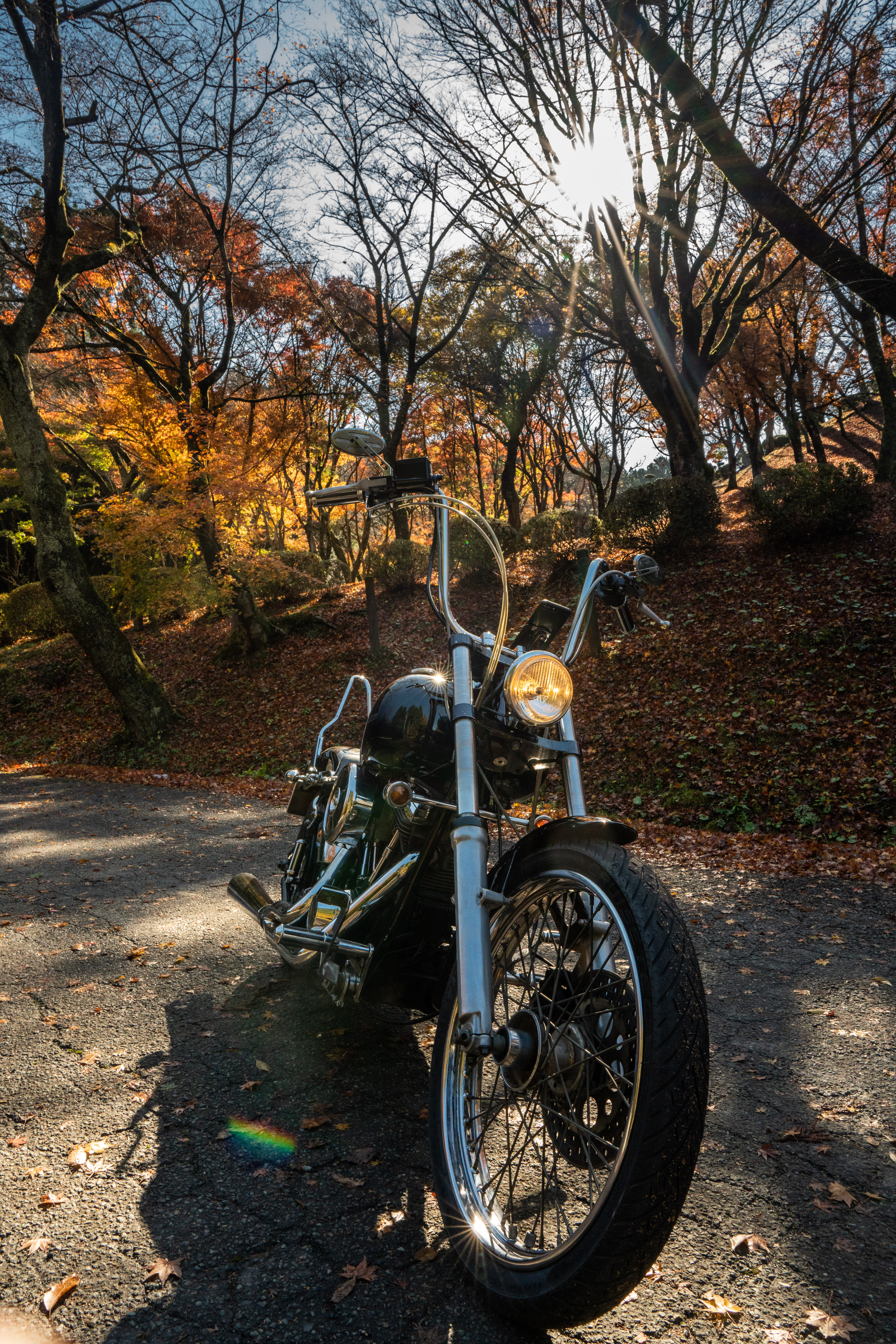 97505 Hintergrundbild herunterladen motorräder, schwarz, das schwarze, motorrad, fahrrad, zerhacker, chopper - Bildschirmschoner und Bilder kostenlos