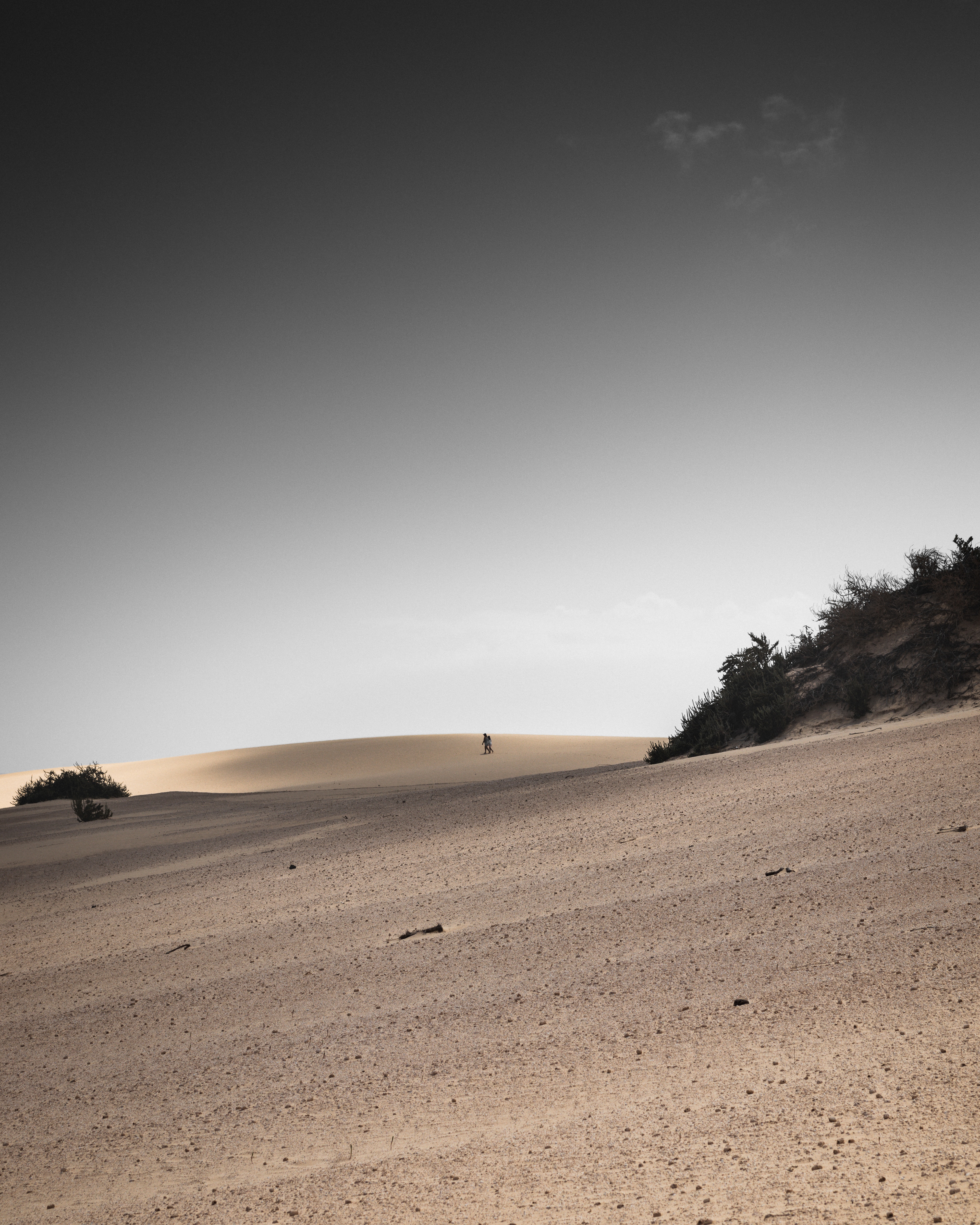 Wallpaper for mobile devices silhouettes, sand, landscape, nature