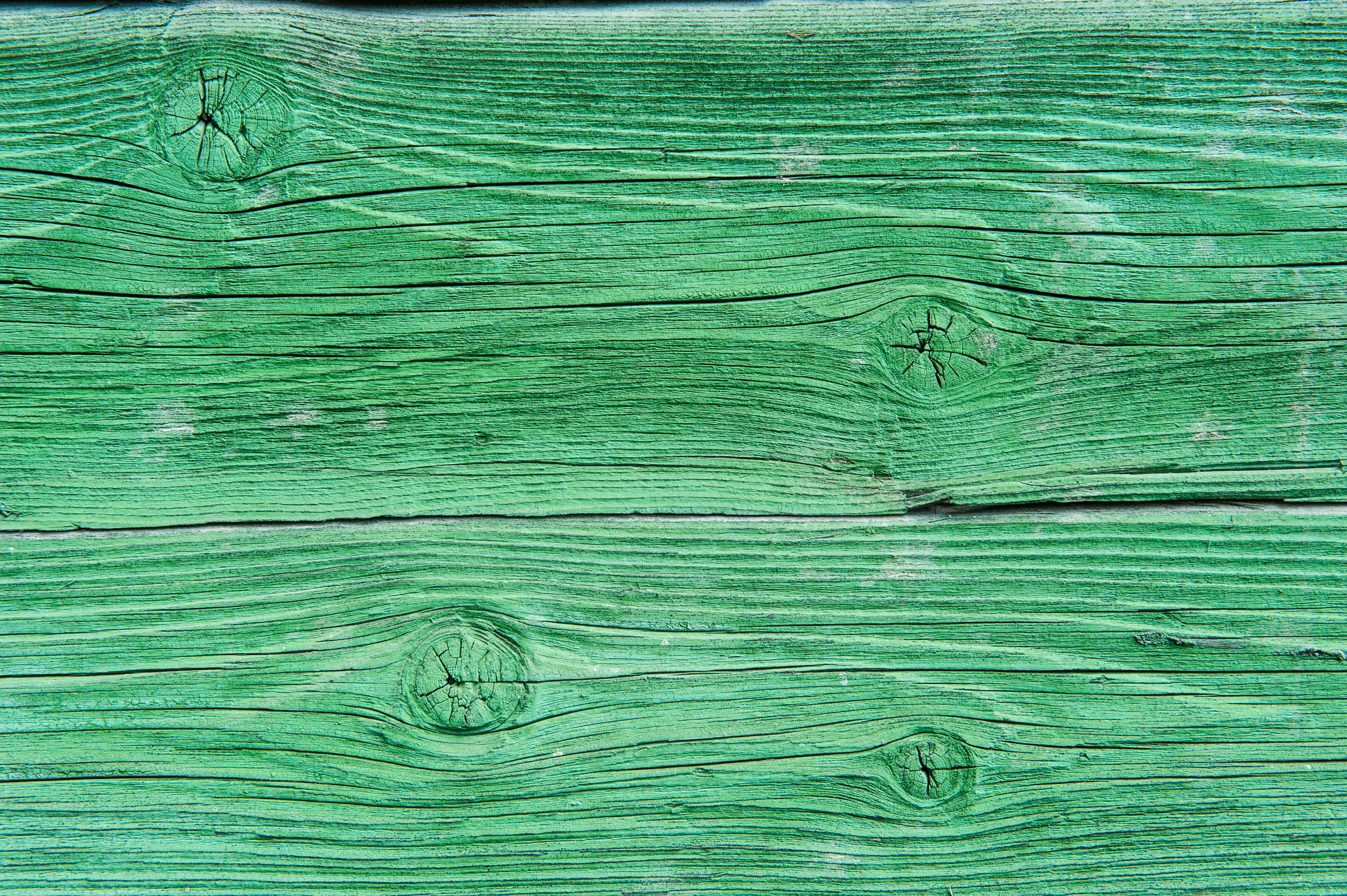 Free Images wood, green, tree, texture Board