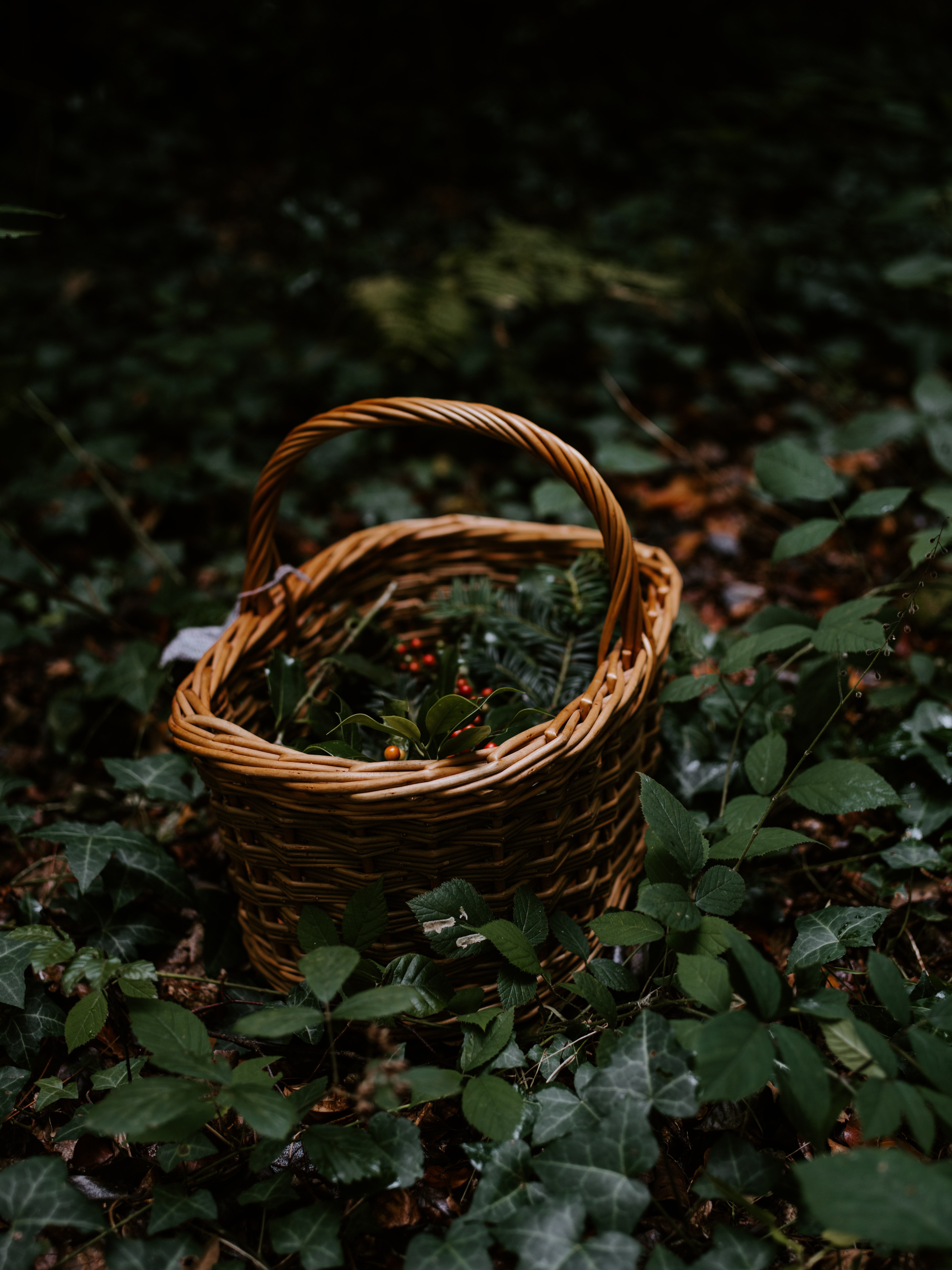 Free HD miscellaneous, nature, berries, miscellanea, branches, basket, wicker, braided