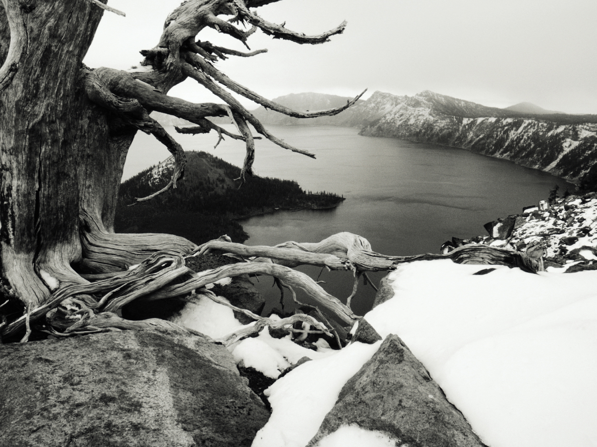winter, black & white, landscape, earth, mountain mobile wallpaper