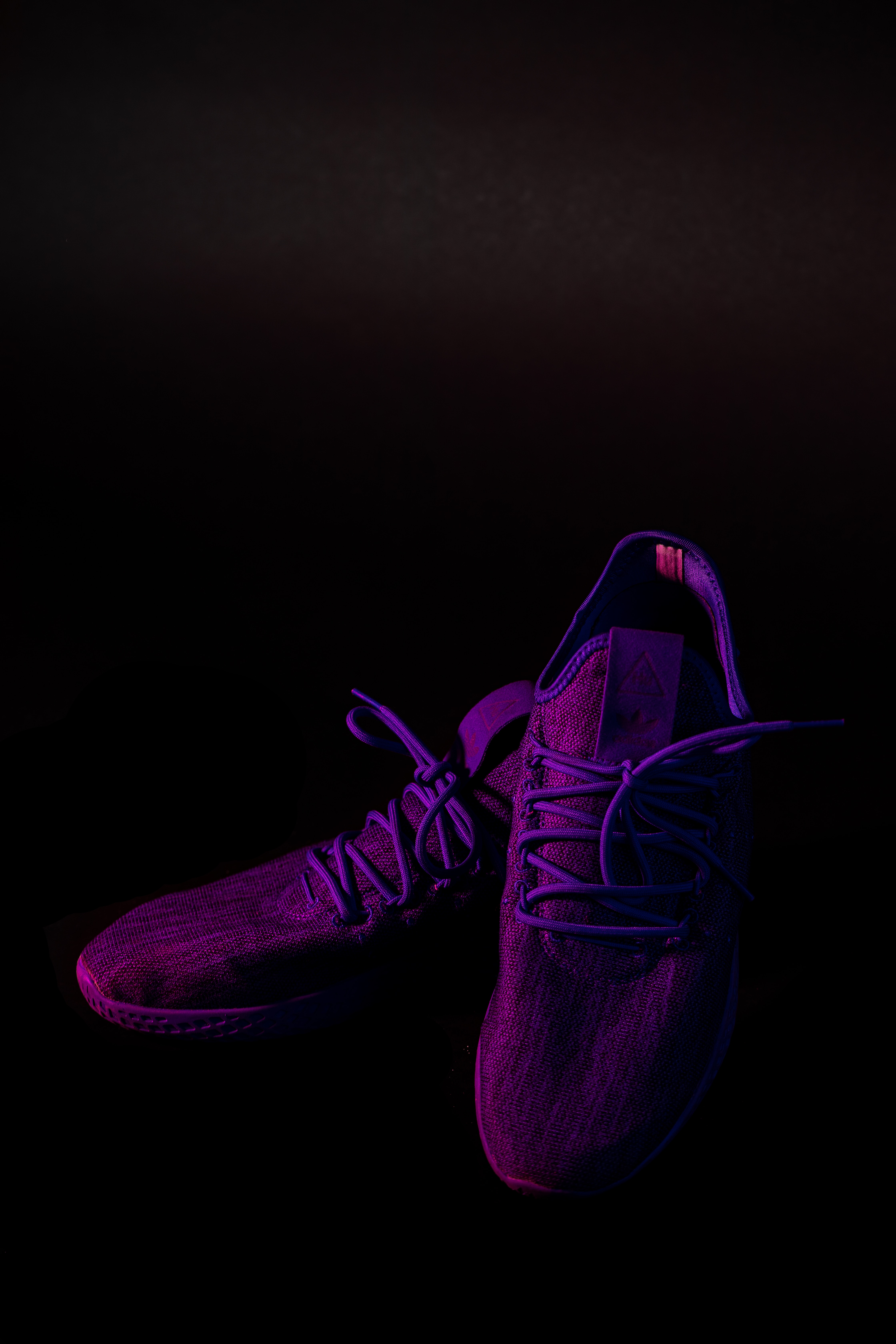 Sneakers violet, dark, purple, footwear Free Stock Photos