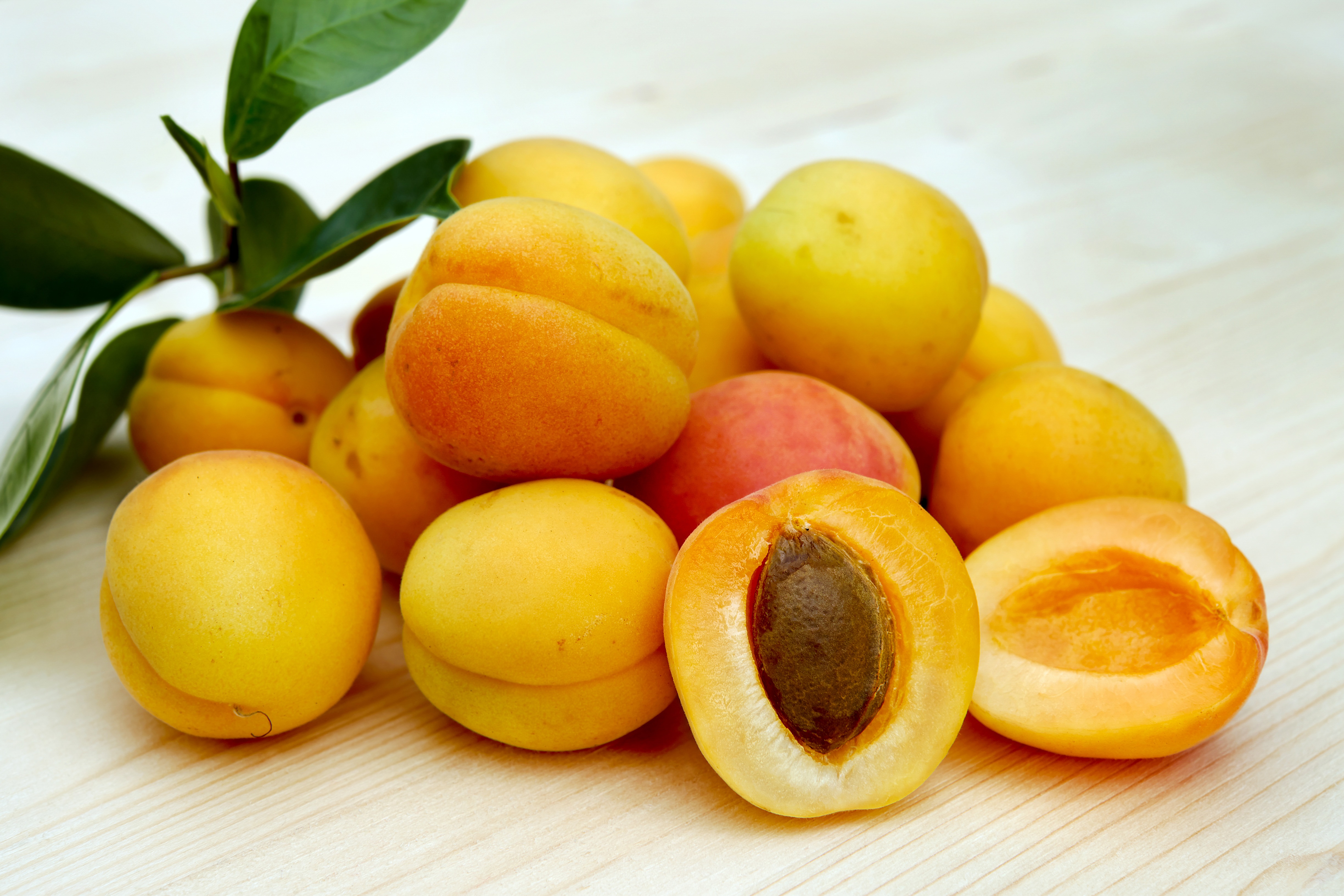 apricots, stone, fruits, bone home screen for smartphone