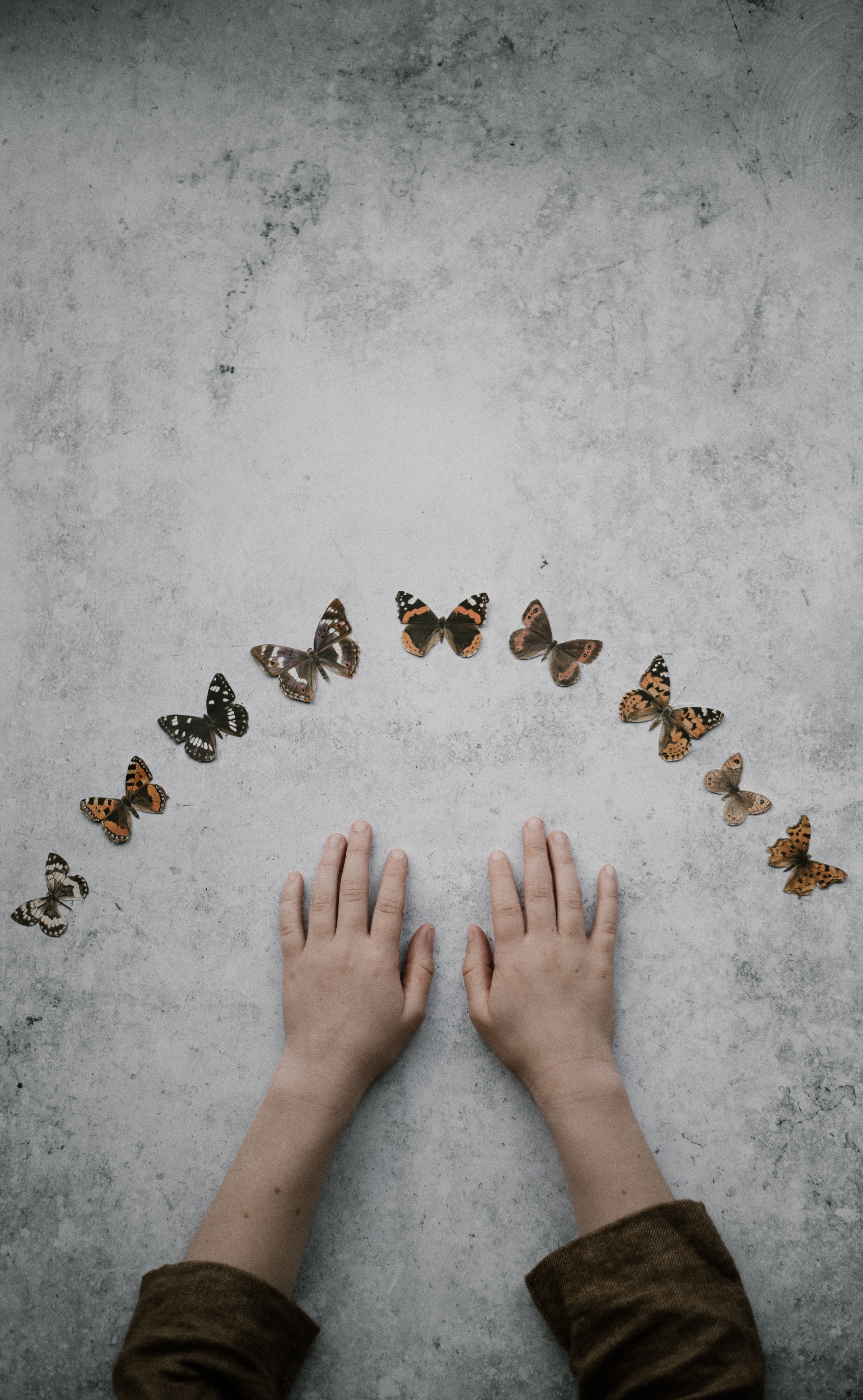butterflies, background, minimalism, hands for android