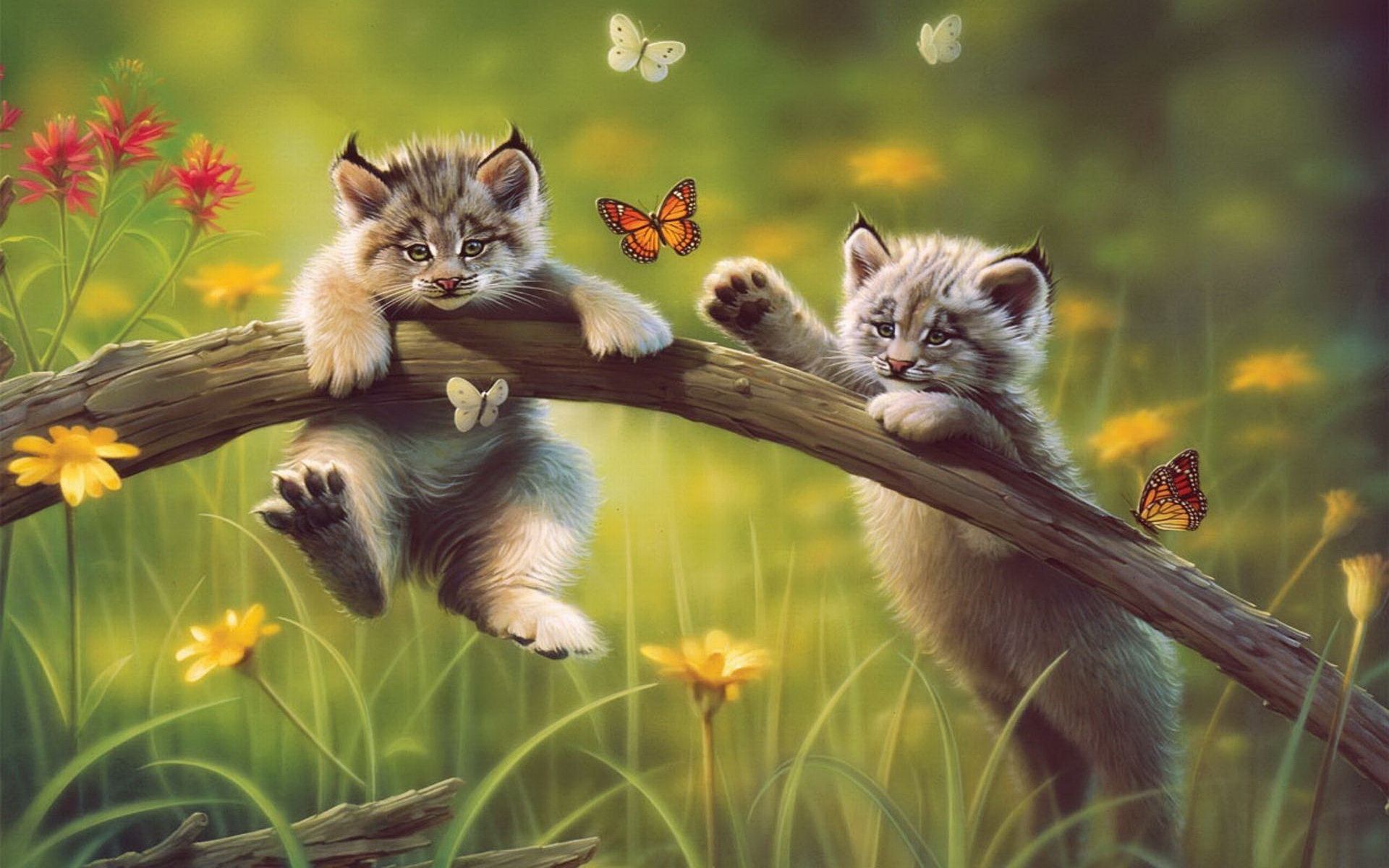 Веселые котята с бабочками