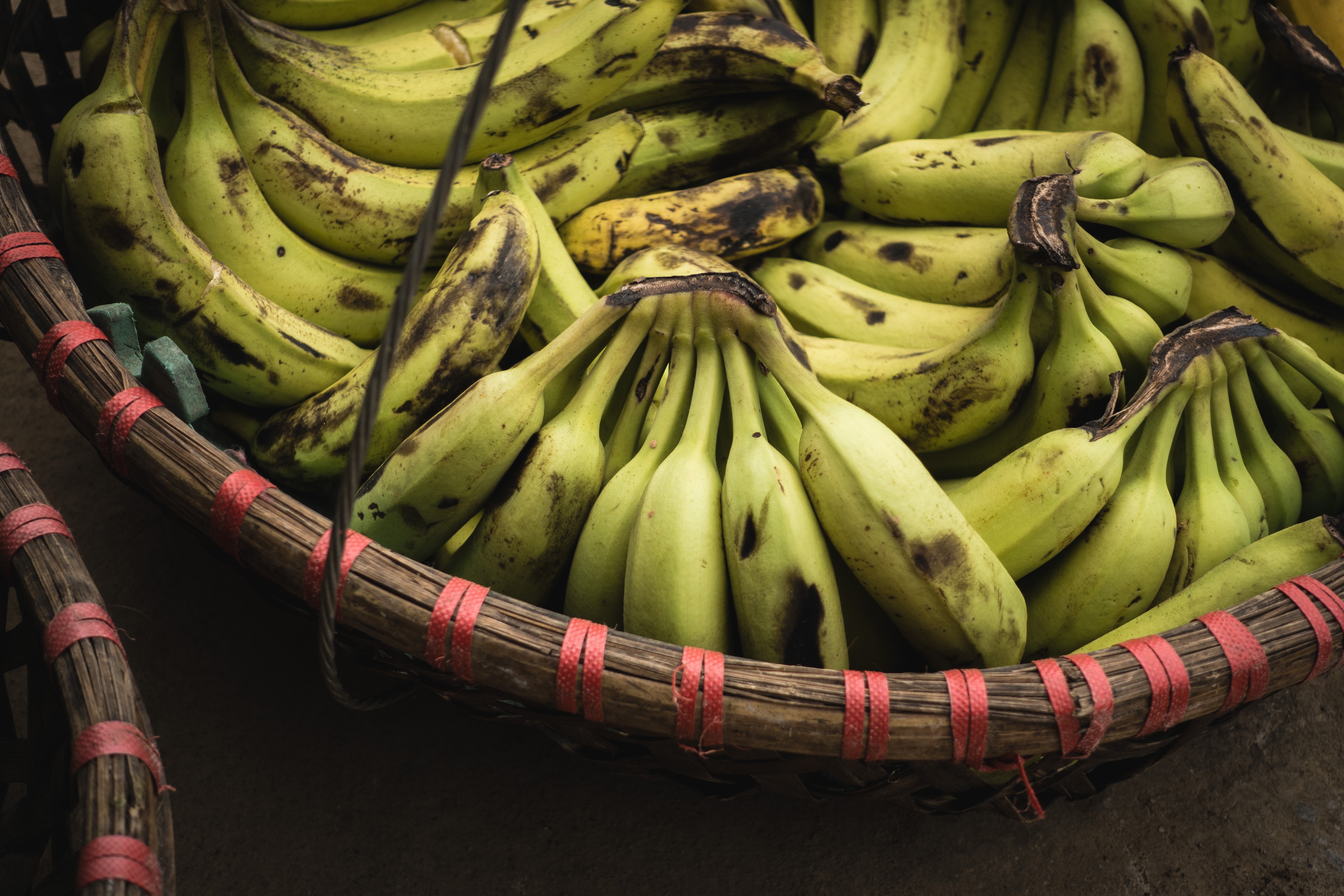 53721 Screensavers and Wallpapers Bananas for phone. Download fruits, food, bananas, bunch, bundle pictures for free