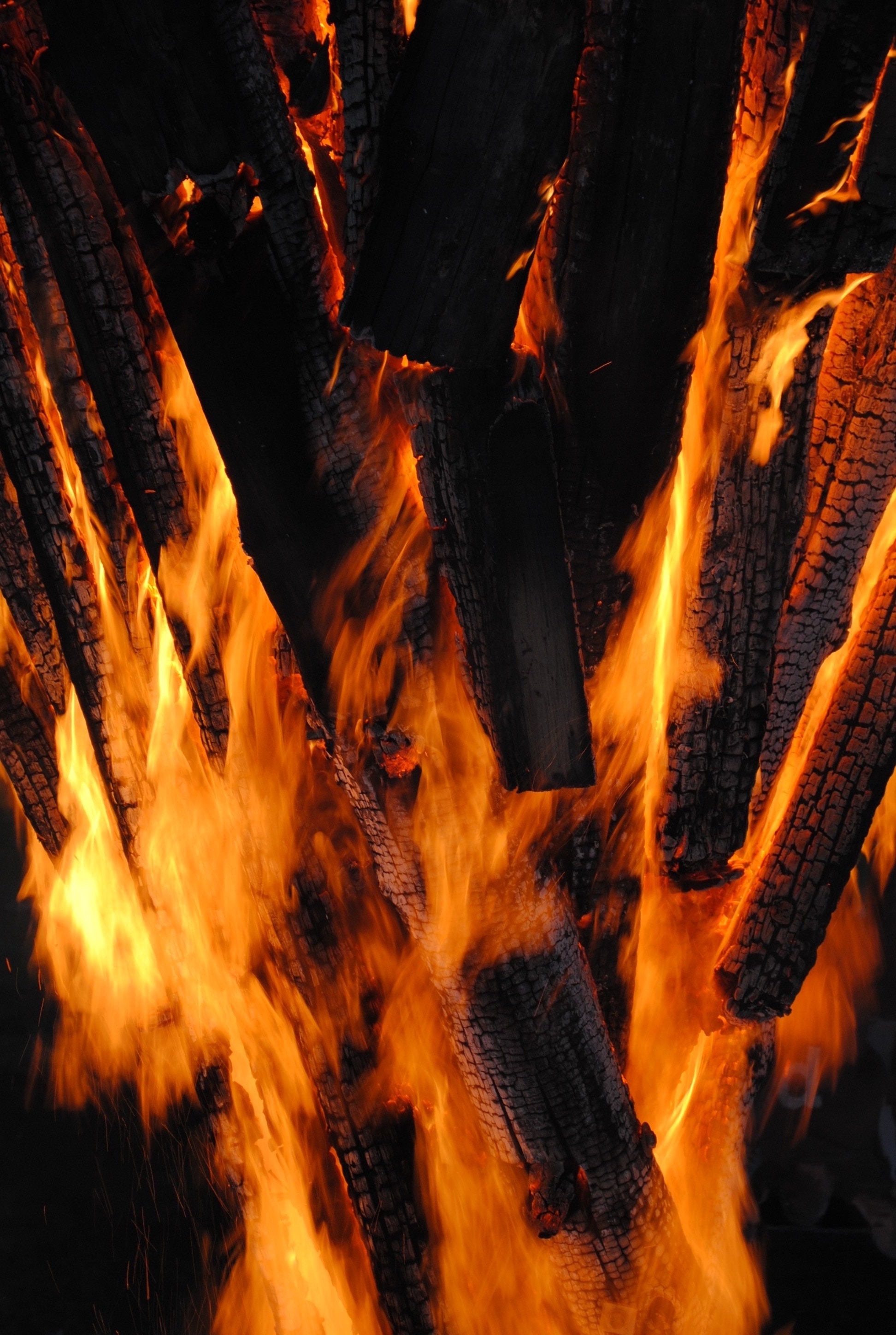 62677 Bild herunterladen feuer, bonfire, kohlen, dunkel, flamme, verschiedenes, sonstige, brennholz - Hintergrundbilder und Bildschirmschoner kostenlos