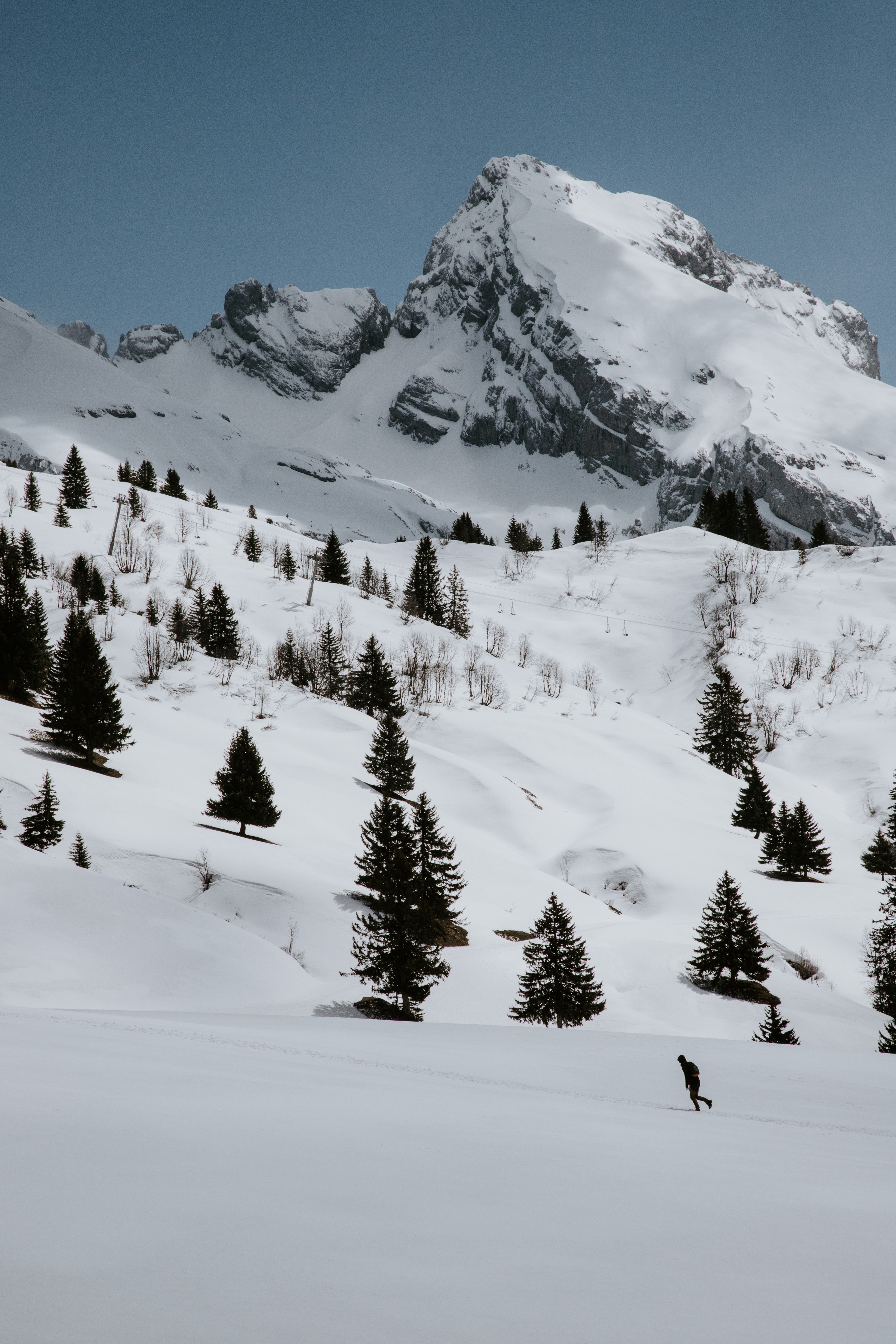 手機的100659屏保和壁紙耶鲁。 免費下載 雪, 雪覆盖, 云杉, 山 圖片