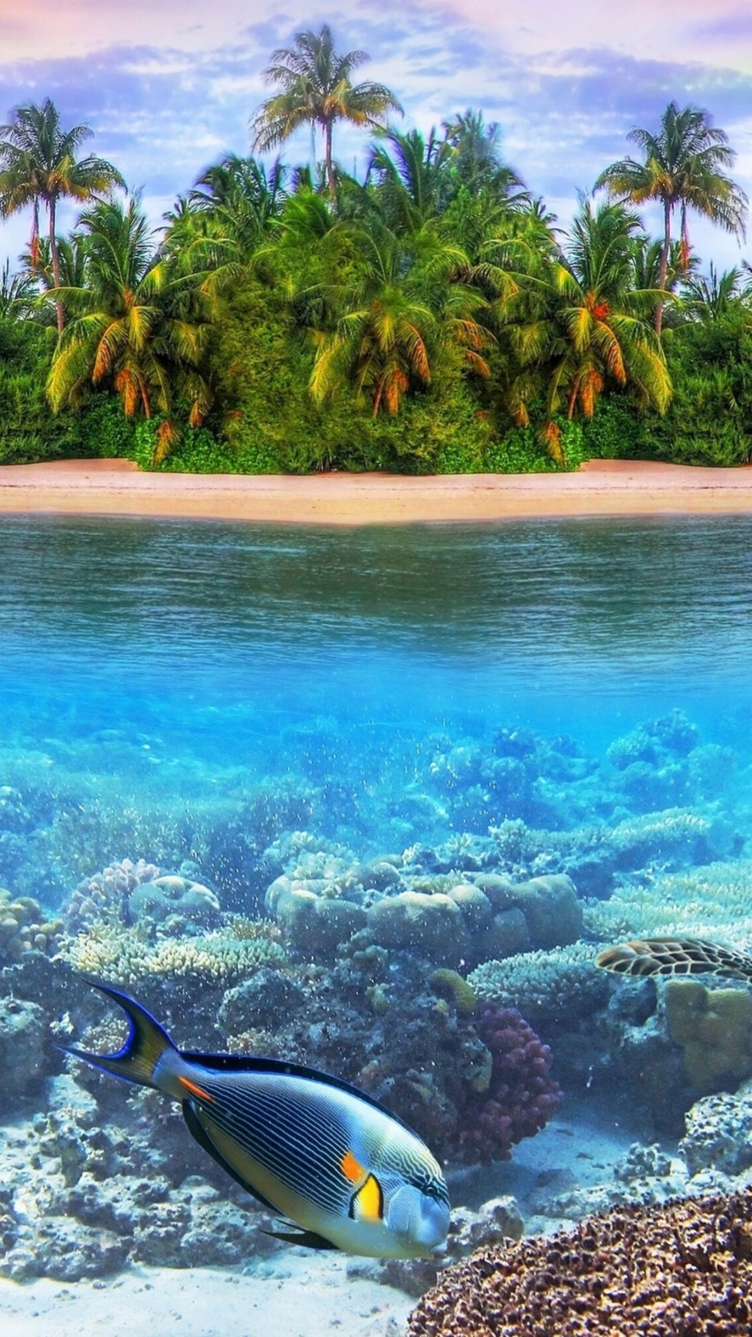 earth, underwater, turtle, fish, reef, island, maldives wallpaper for mobile