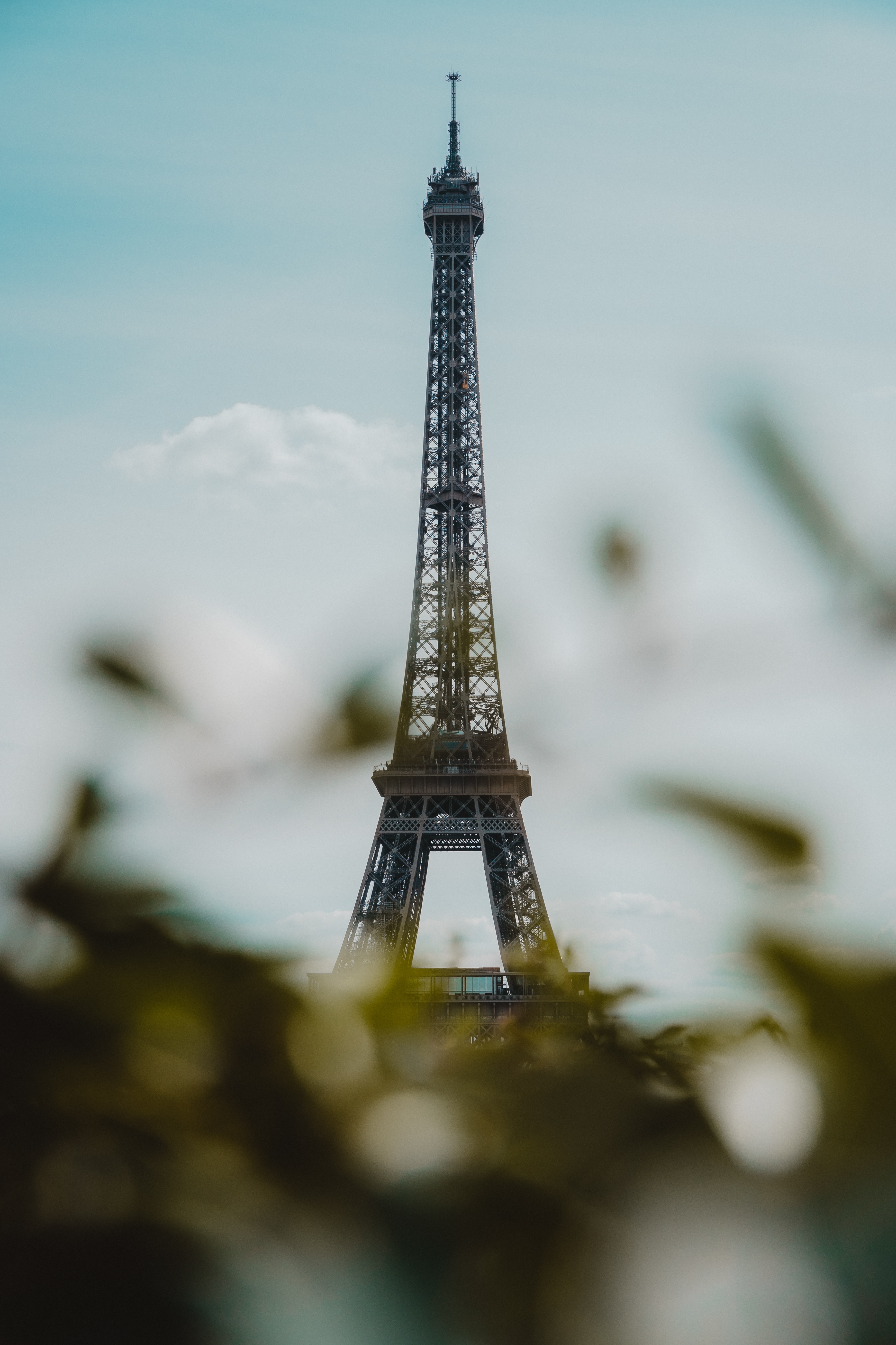 手機的56129屏保和壁紙艾菲尔铁塔。 免費下載 巴黎, 城市, 塔楼, 塔 圖片