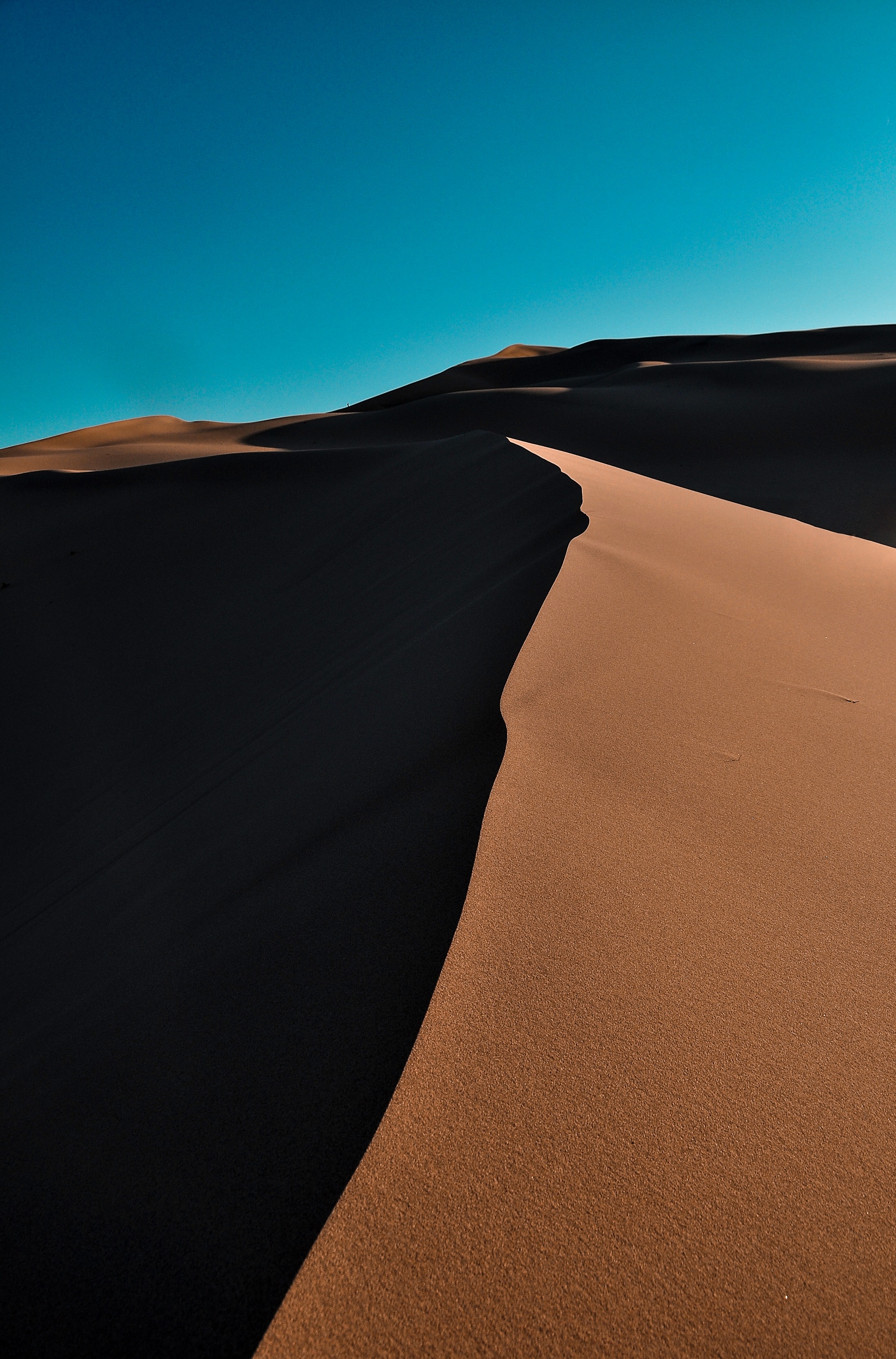 113446 Hintergrundbild herunterladen sand, natur, wüste, wellig, dünen, links - Bildschirmschoner und Bilder kostenlos