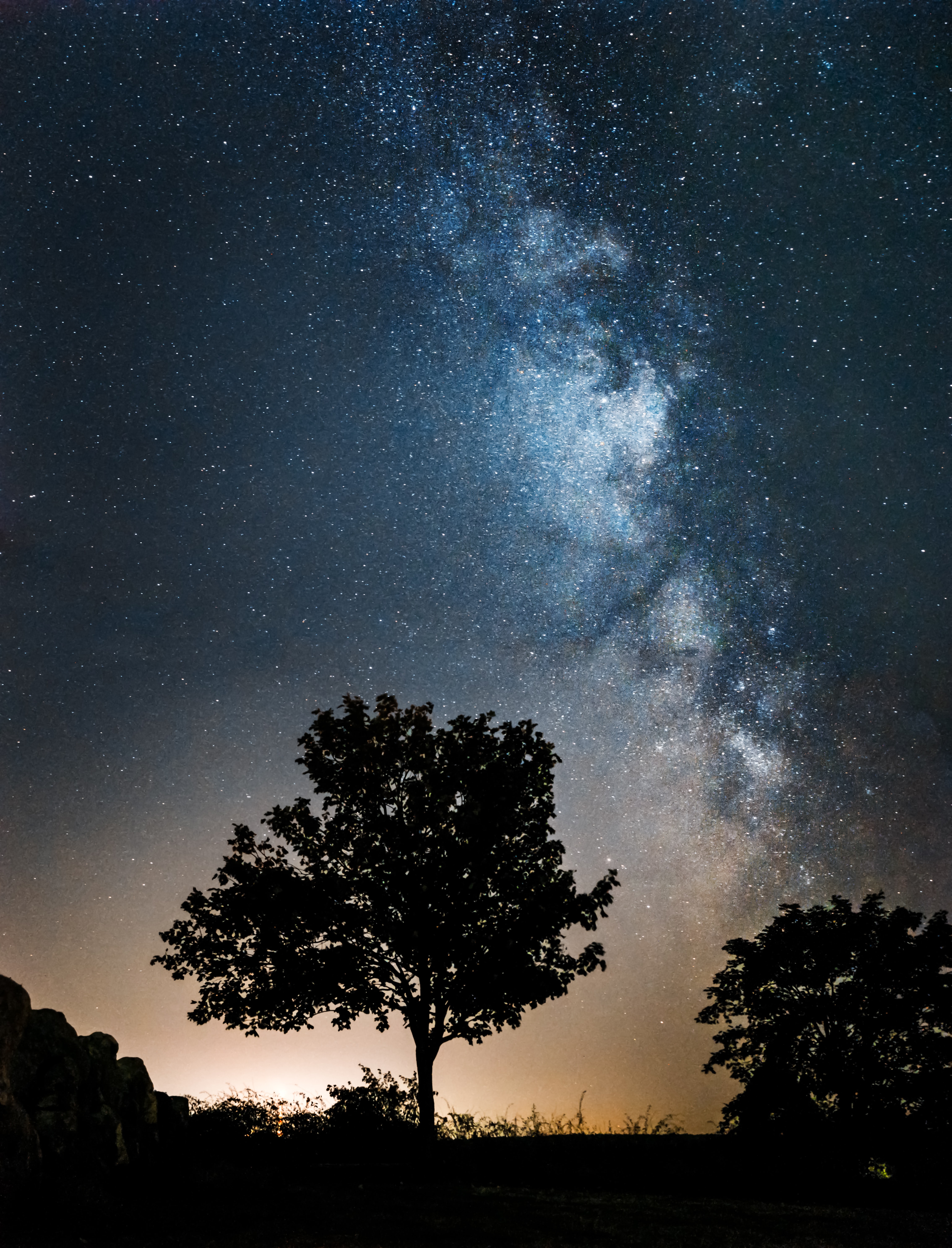 dark, stars, trees, silhouettes Vertical Wallpapers