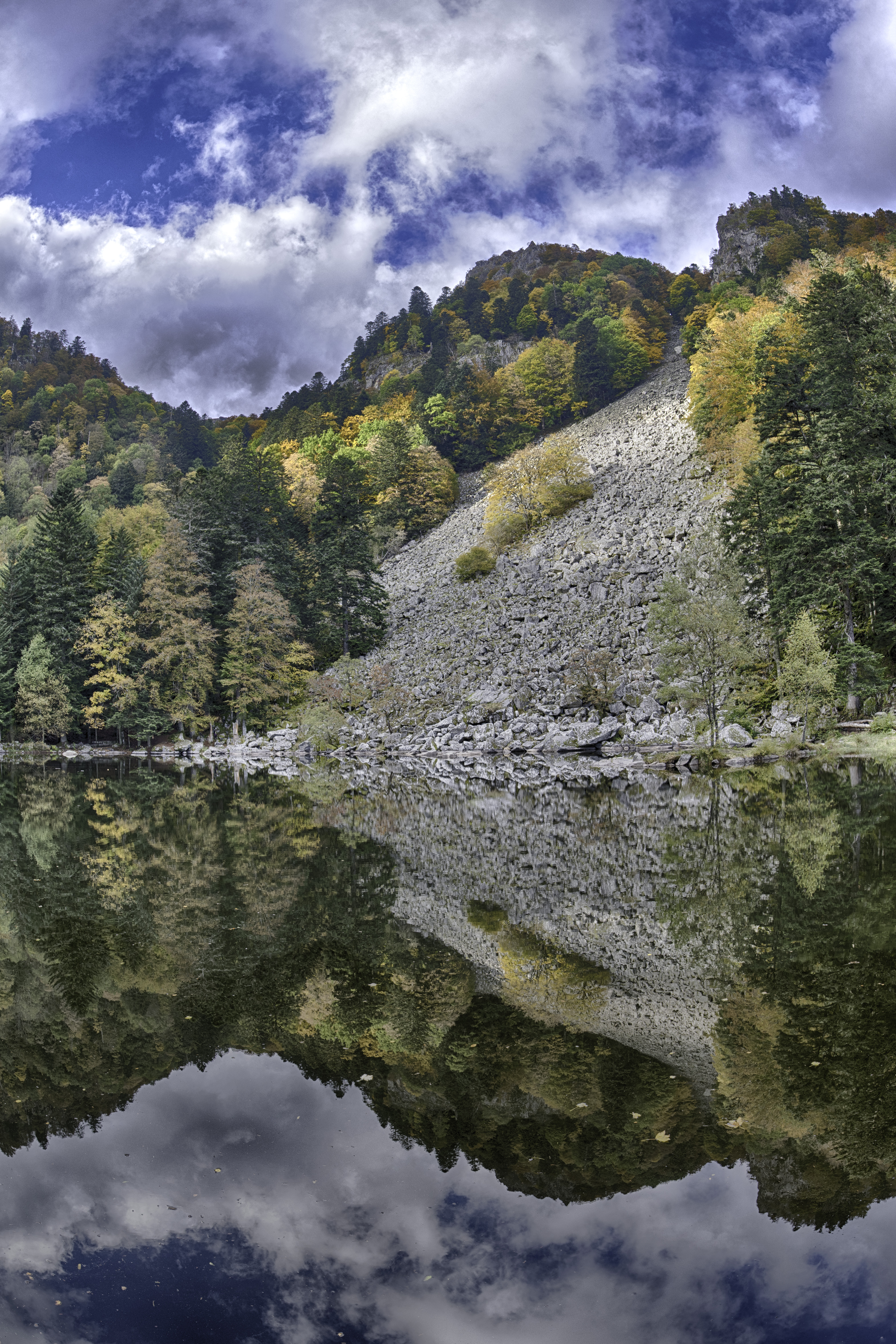 landscape, nature, trees, mountain, lake, reflection Full HD