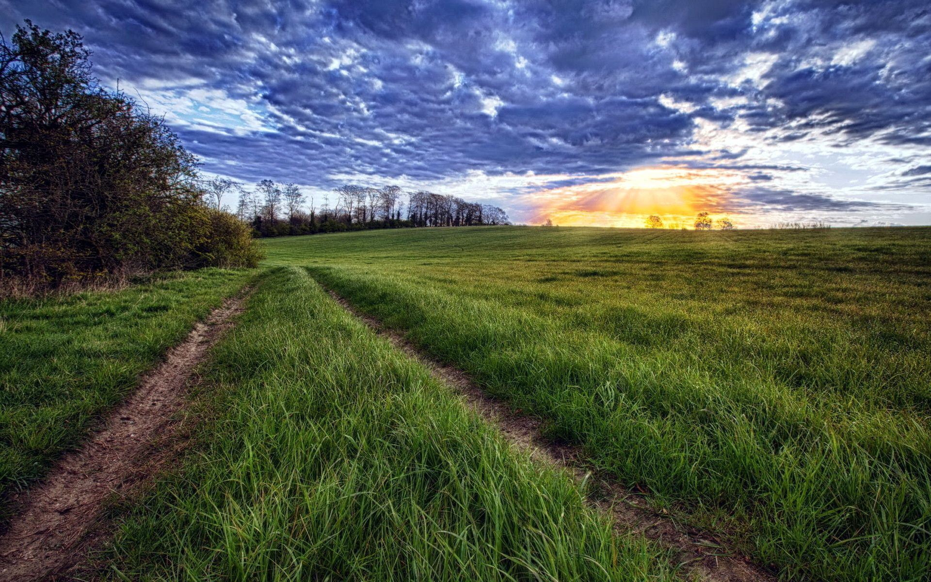 beams, layers, nature, grass, sun, clouds, orange, shine, light, rays, road, field, evening, traces wallpapers for tablet