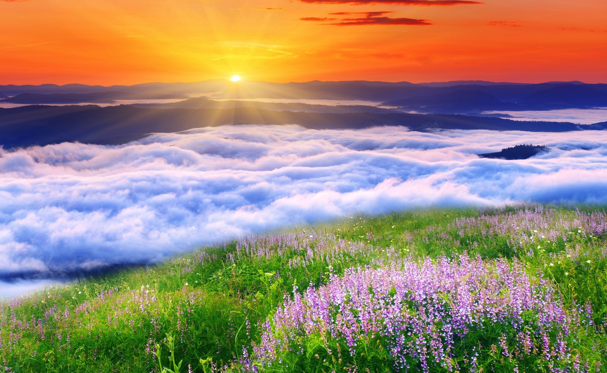 HD desktop wallpaper: Landscape, Sunset, Earth, Cloud, Meadow download free  picture #656987