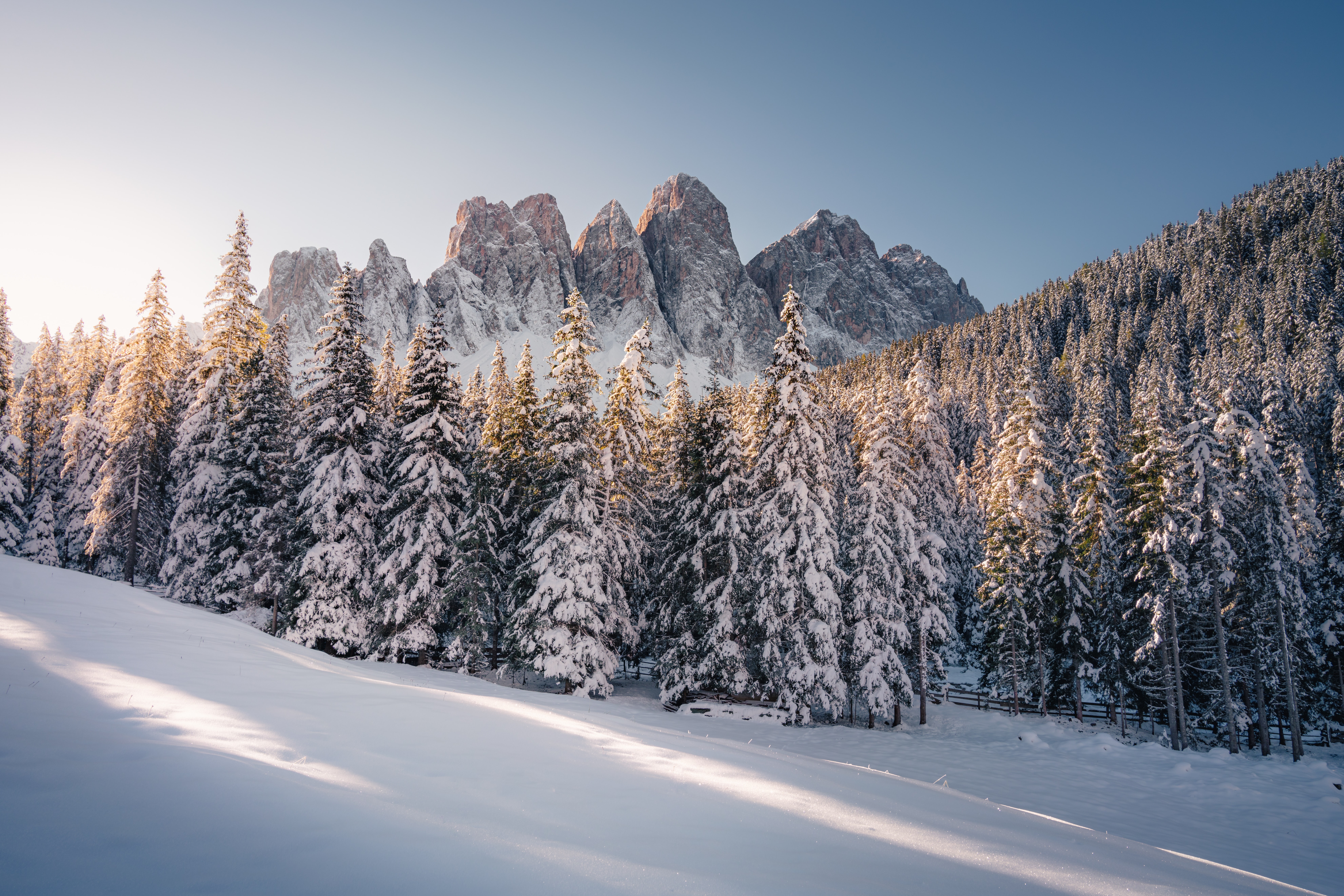 snowbound, mountains, spruce, fir Snow Covered HD Android Wallpapers