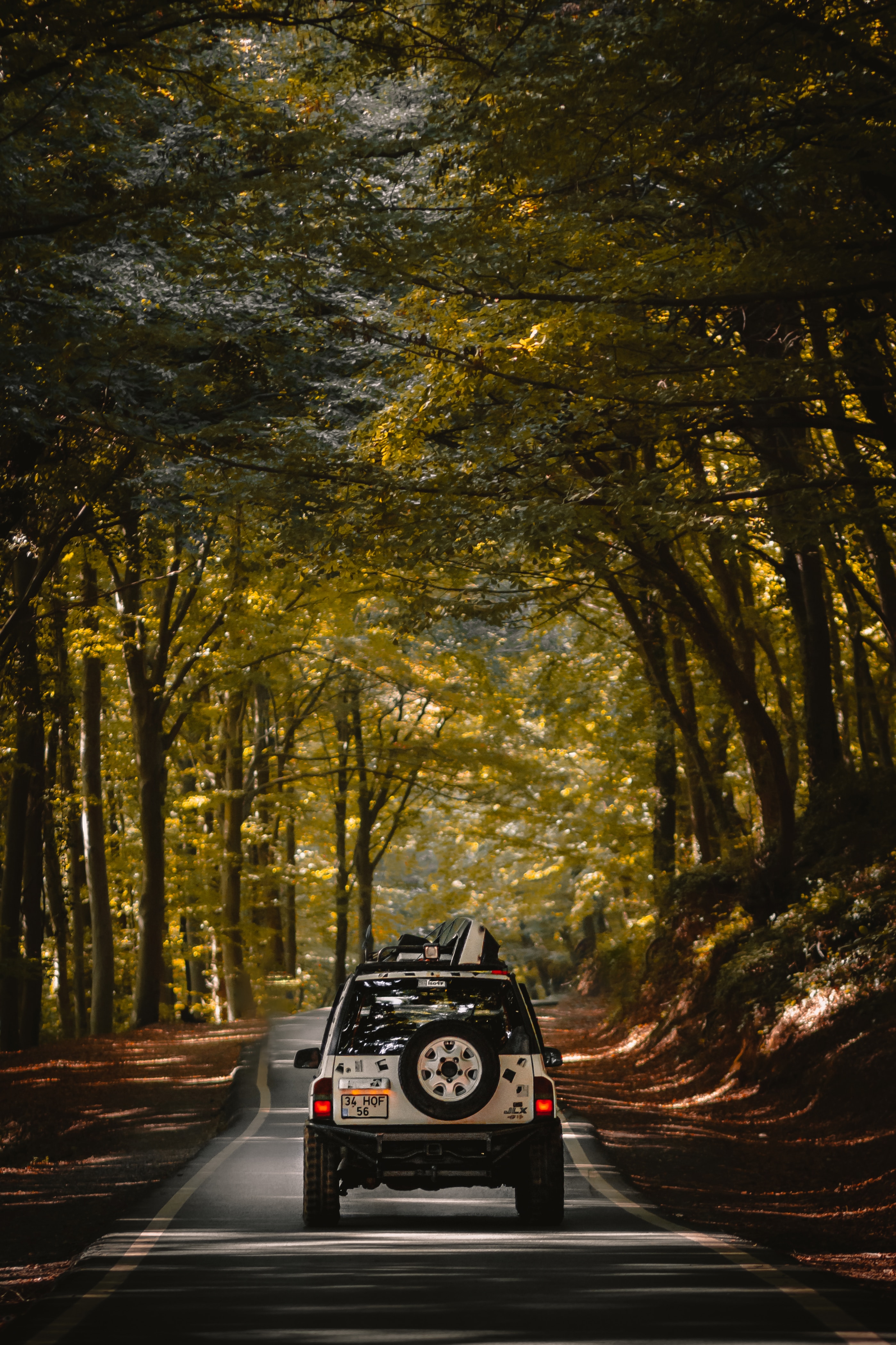 Download mobile wallpaper Cars, Road, Forest, Machine, Car, Journey, Suv for free.