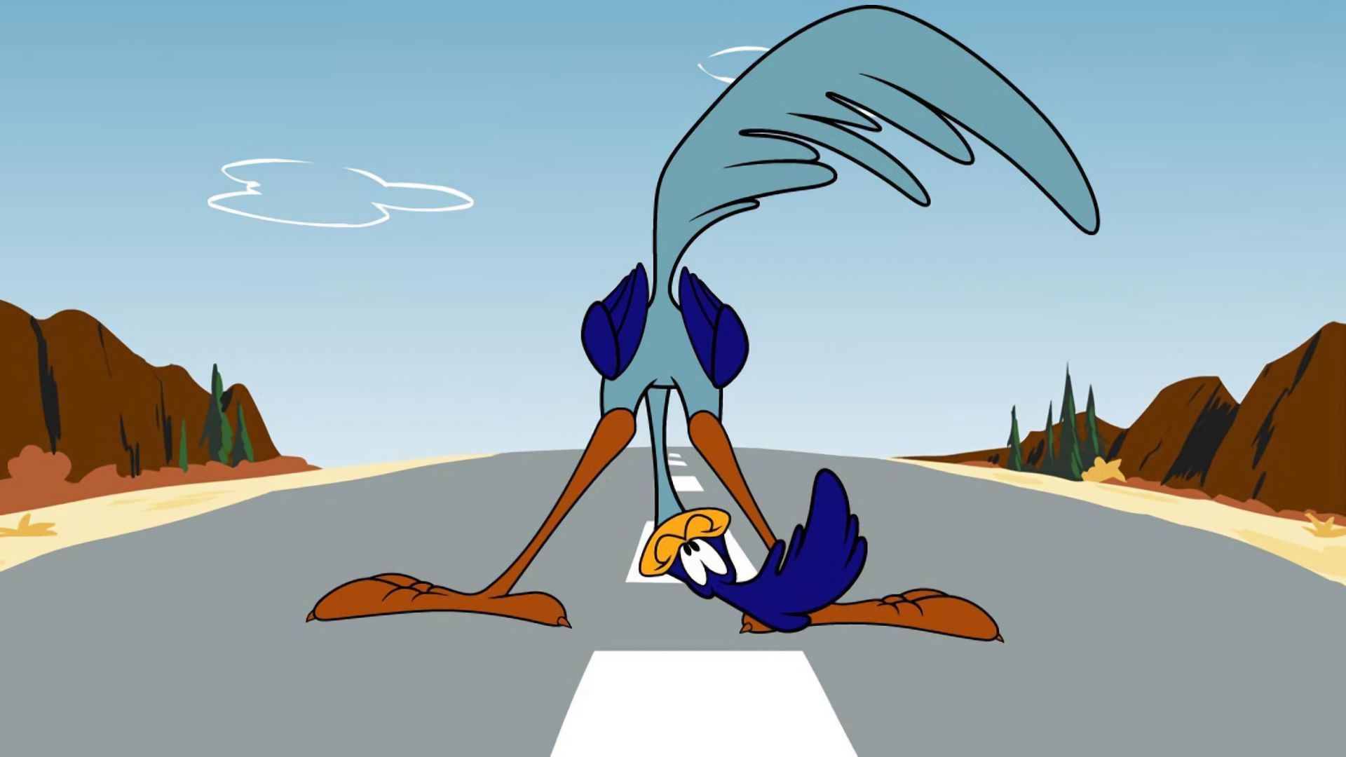 Fondos de pantalla de Wile E Coyote Y El Correcaminos para escritorio