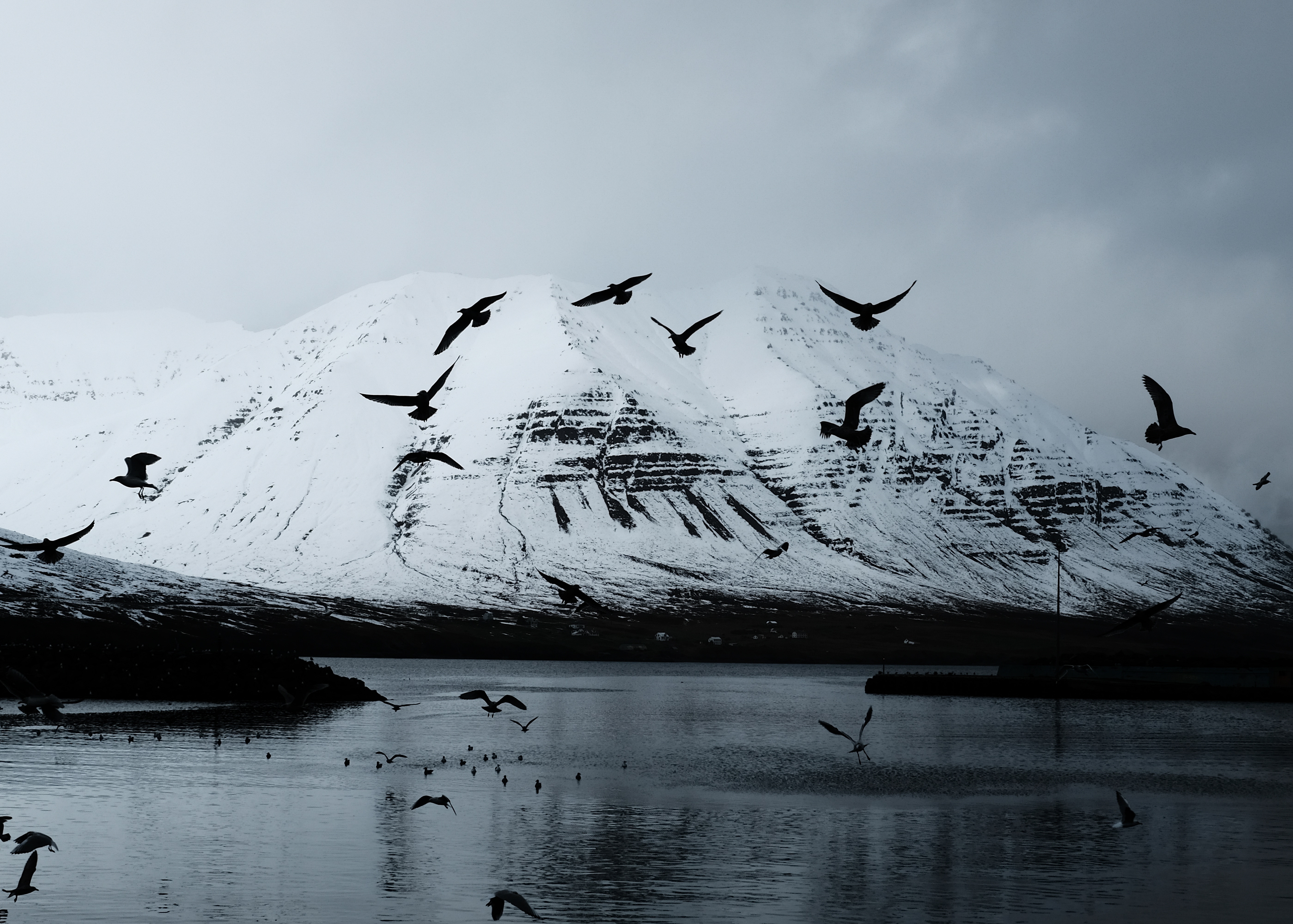 nature, birds, snow, crows, mountain, lake, glacier HD wallpaper